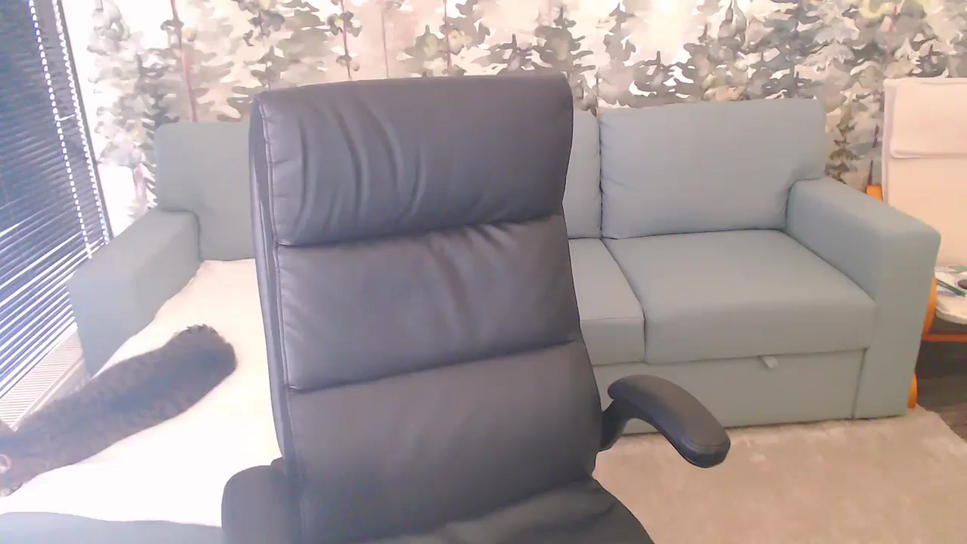 Gallery image thumbnail from NerdyDexter's myfreecams stream on, 12/30/2024, 13:00 image 5 of 20