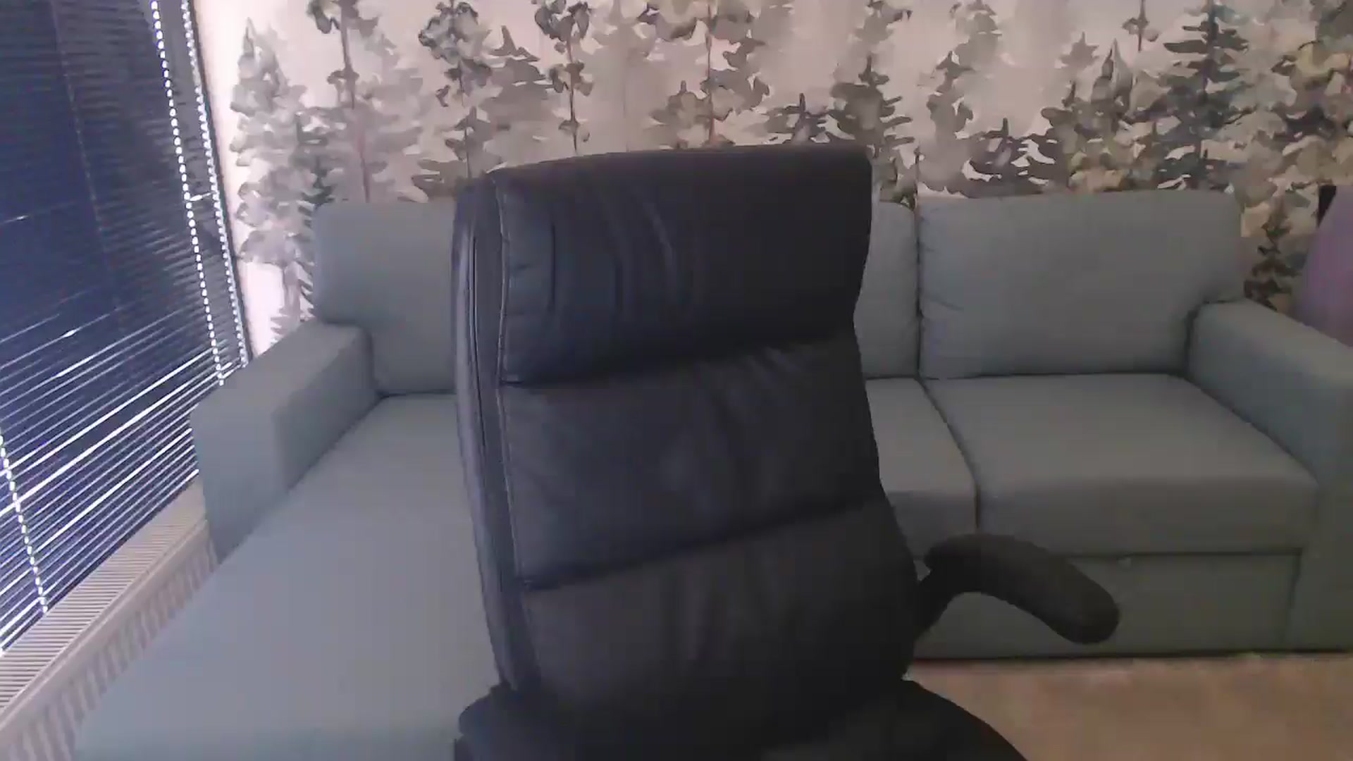 Gallery image thumbnail from NerdyDexter's myfreecams stream on, 01/11/2025, 12:50 image 6 of 20