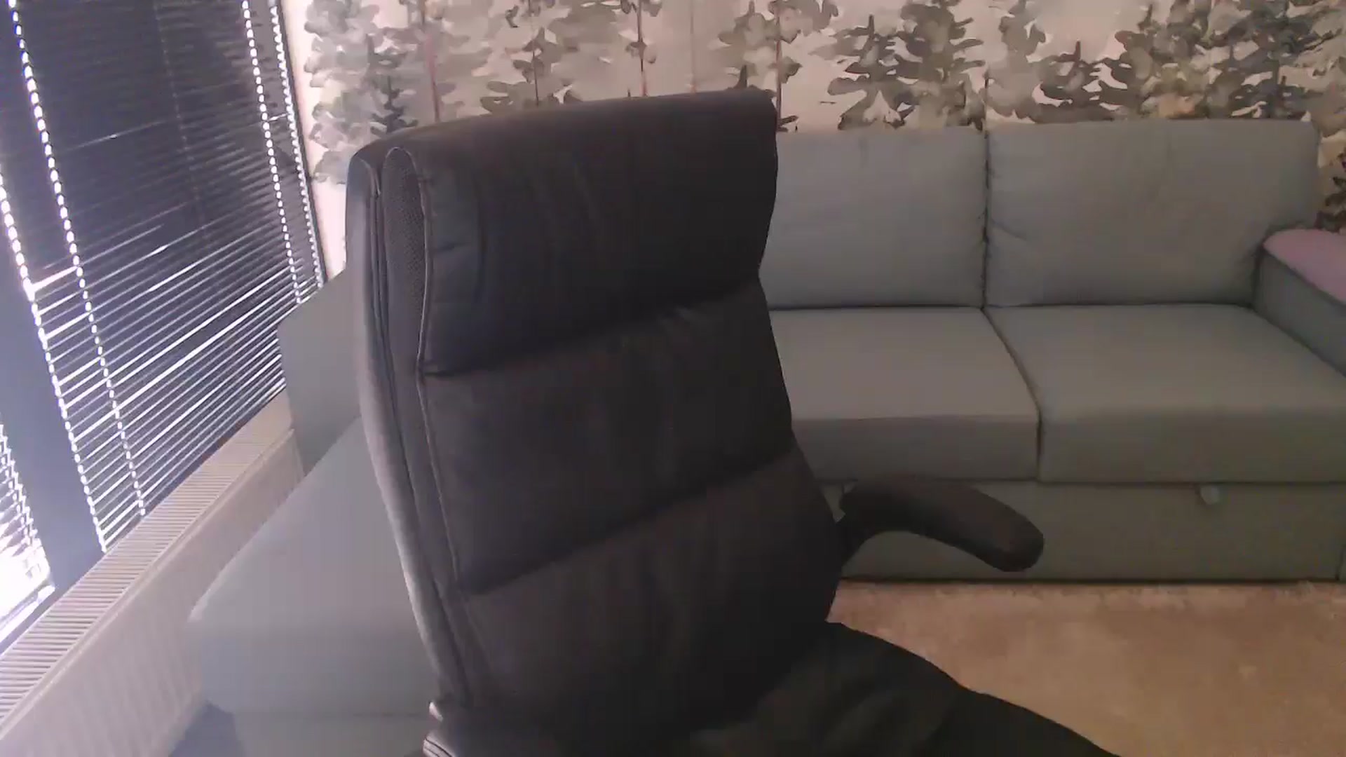 Gallery image thumbnail from NerdyDexter's myfreecams stream on, 02/11/2025, 14:07 image 11 of 20
