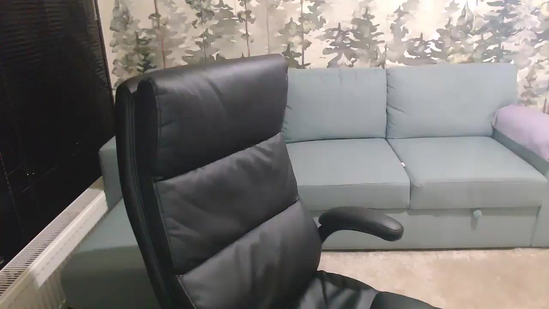 Gallery image thumbnail from NerdyDexter's myfreecams stream on, 02/18/2025, 16:53 image 15 of 20