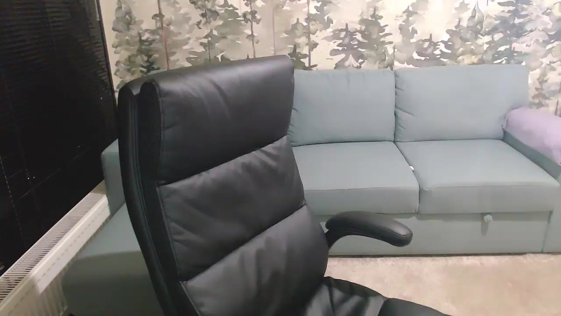 Gallery image thumbnail from NerdyDexter's myfreecams stream on, 02/18/2025, 16:53 image 14 of 20