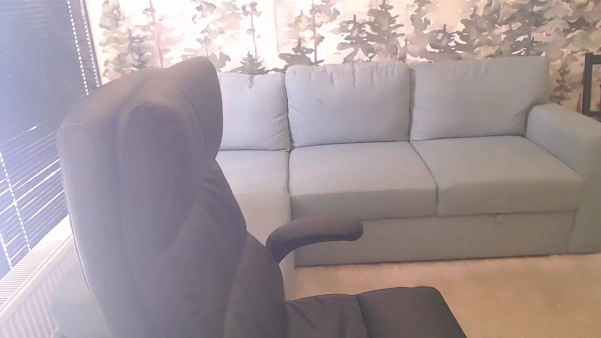 Gallery image thumbnail from NerdyDexter's myfreecams stream on, 04/26/2025, 11:57 image 5 of 20