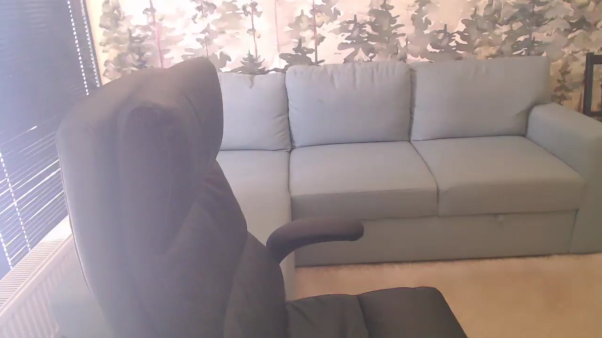 Gallery image thumbnail from NerdyDexter's myfreecams stream on, 04/26/2025, 11:57 image 4 of 20