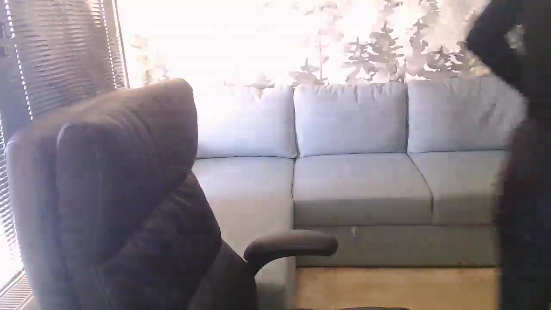 Gallery image thumbnail from NerdyDexter's myfreecams stream on, 05/20/2025, 16:16 image 16 of 20