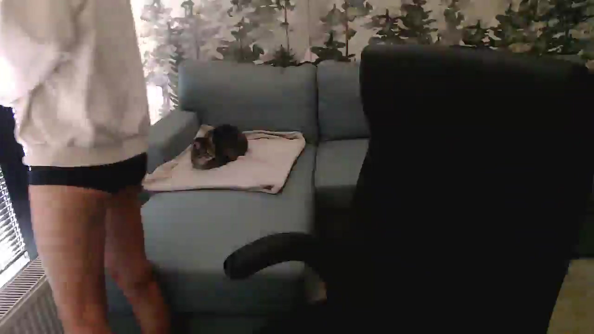Gallery image thumbnail from NerdyDexter's myfreecams stream on, 10/14/2025, 10:35 image 2 of 20