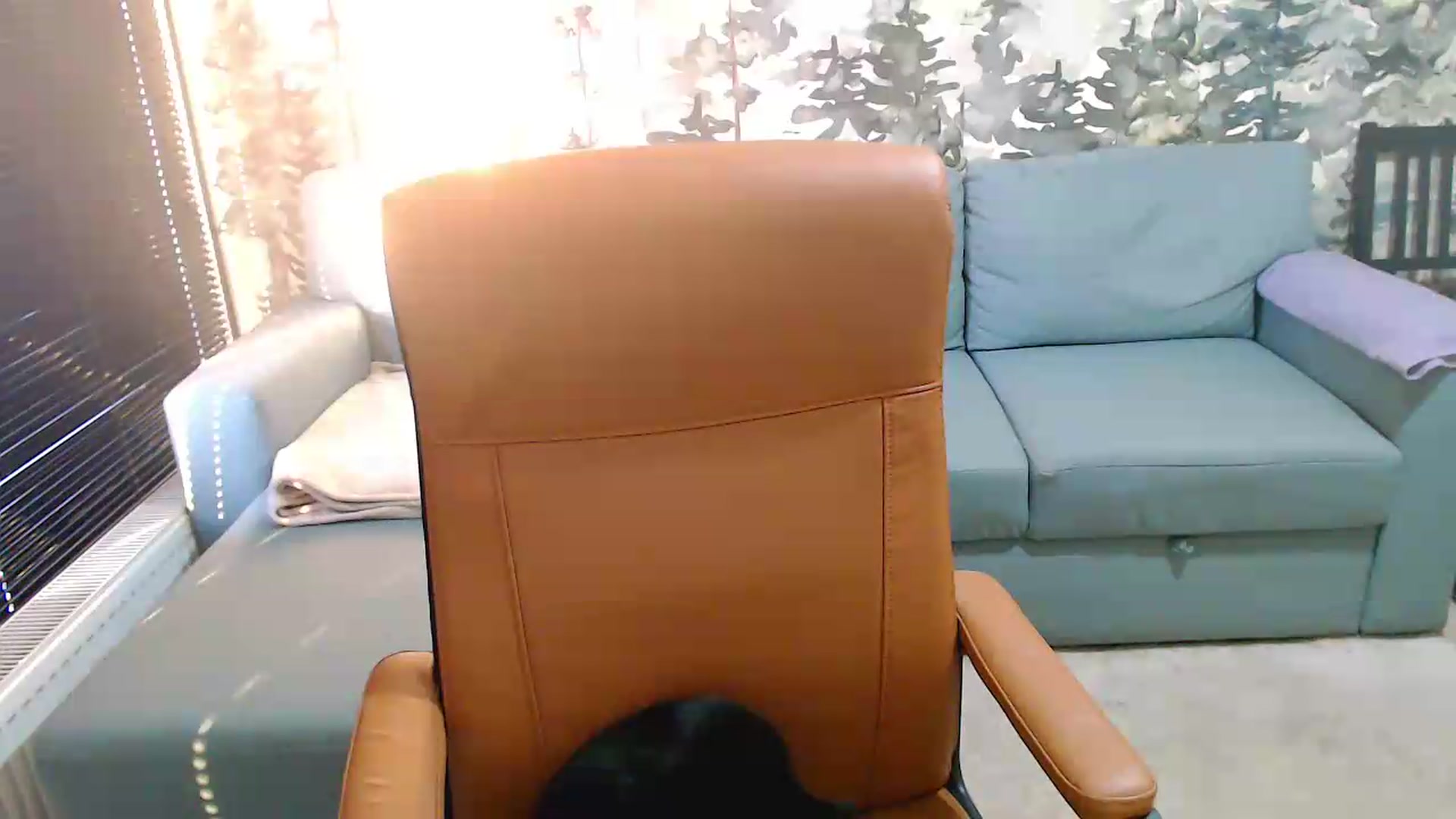 Gallery image thumbnail from NerdyDexter's myfreecams stream on, 06/02/2026, 17:42 image 15 of 20