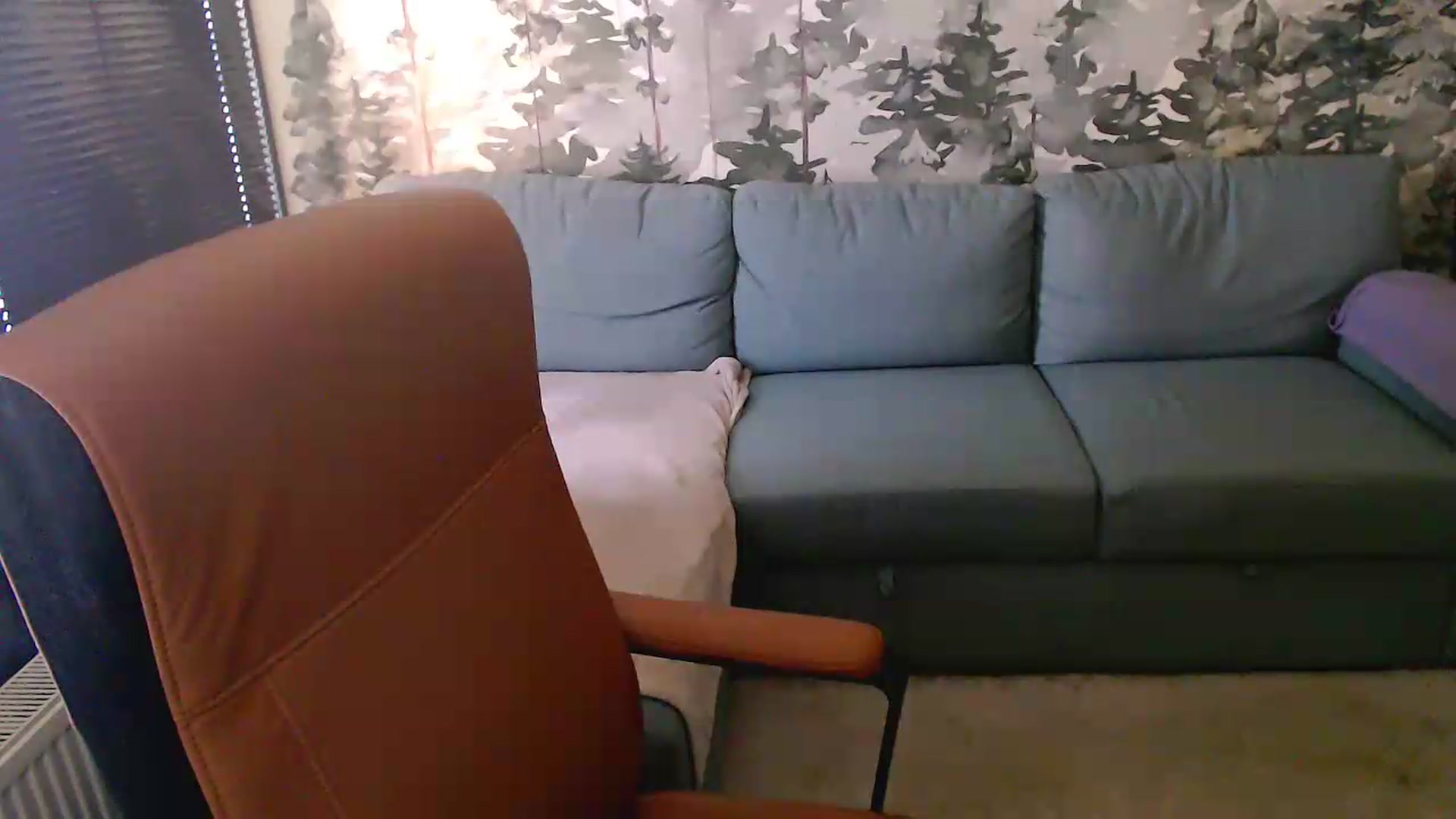 Gallery image thumbnail from NerdyDexter's myfreecams stream on, 06/24/2026, 18:06 image 6 of 20