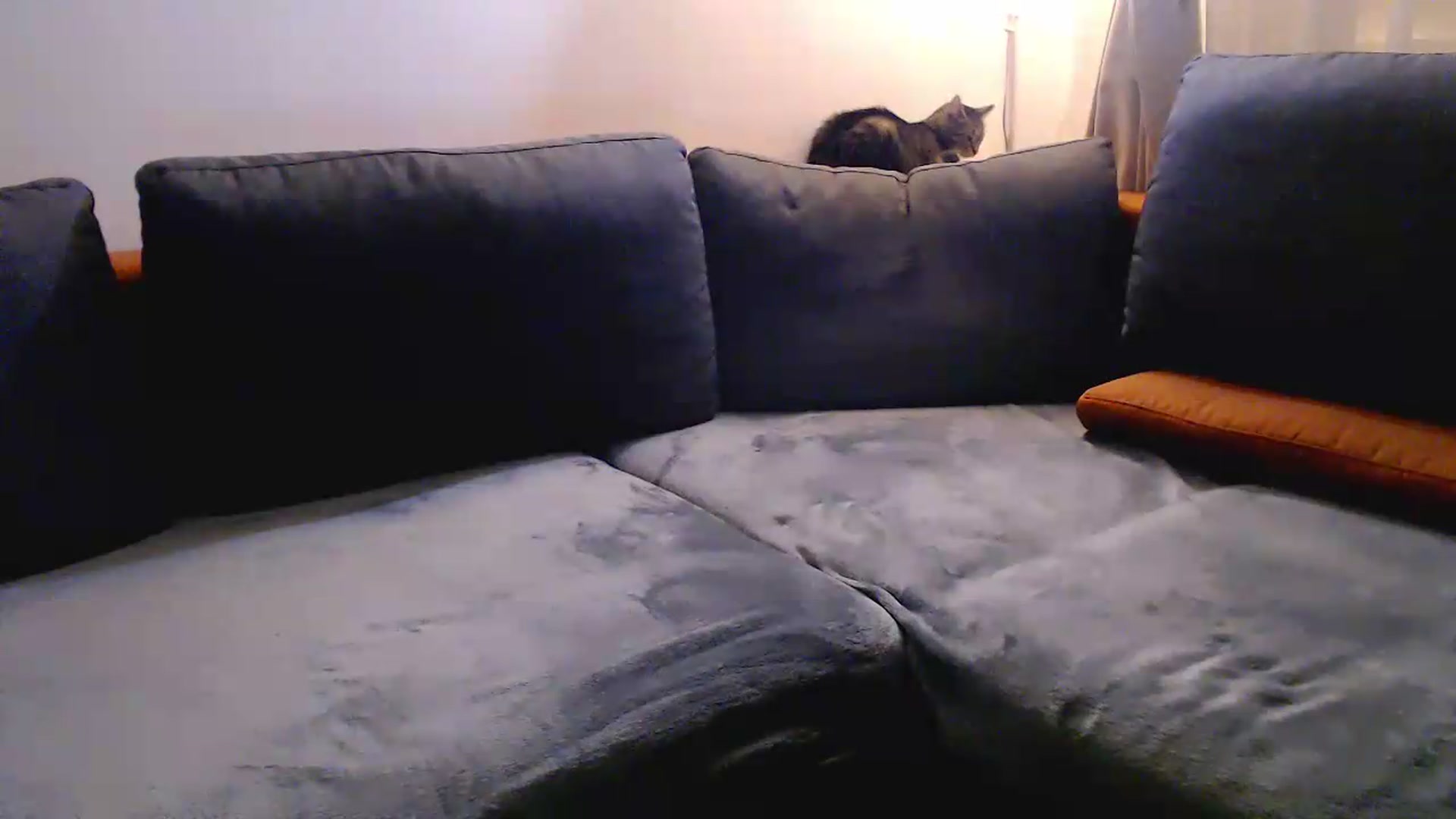 Gallery image thumbnail from NerdyDexter's myfreecams stream on, 08/03/2026, 19:49 image 12 of 20