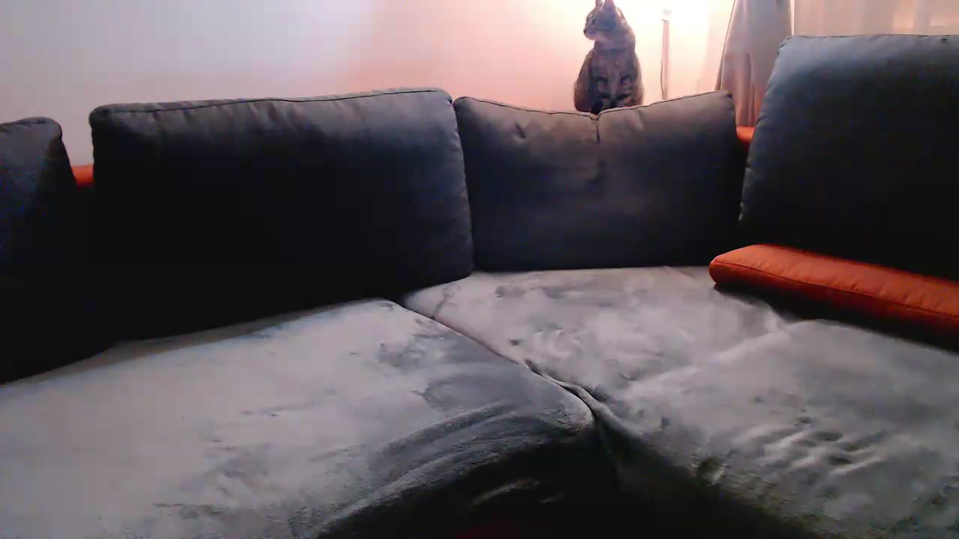 Gallery image thumbnail from NerdyDexter's myfreecams stream on, 08/03/2026, 19:49 image 11 of 20