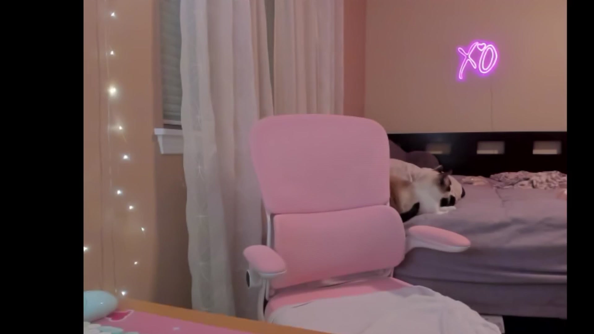 Gallery image thumbnail from NesaValentine's myfreecams stream on, 02/28/2025, 09:34 image 17 of 20