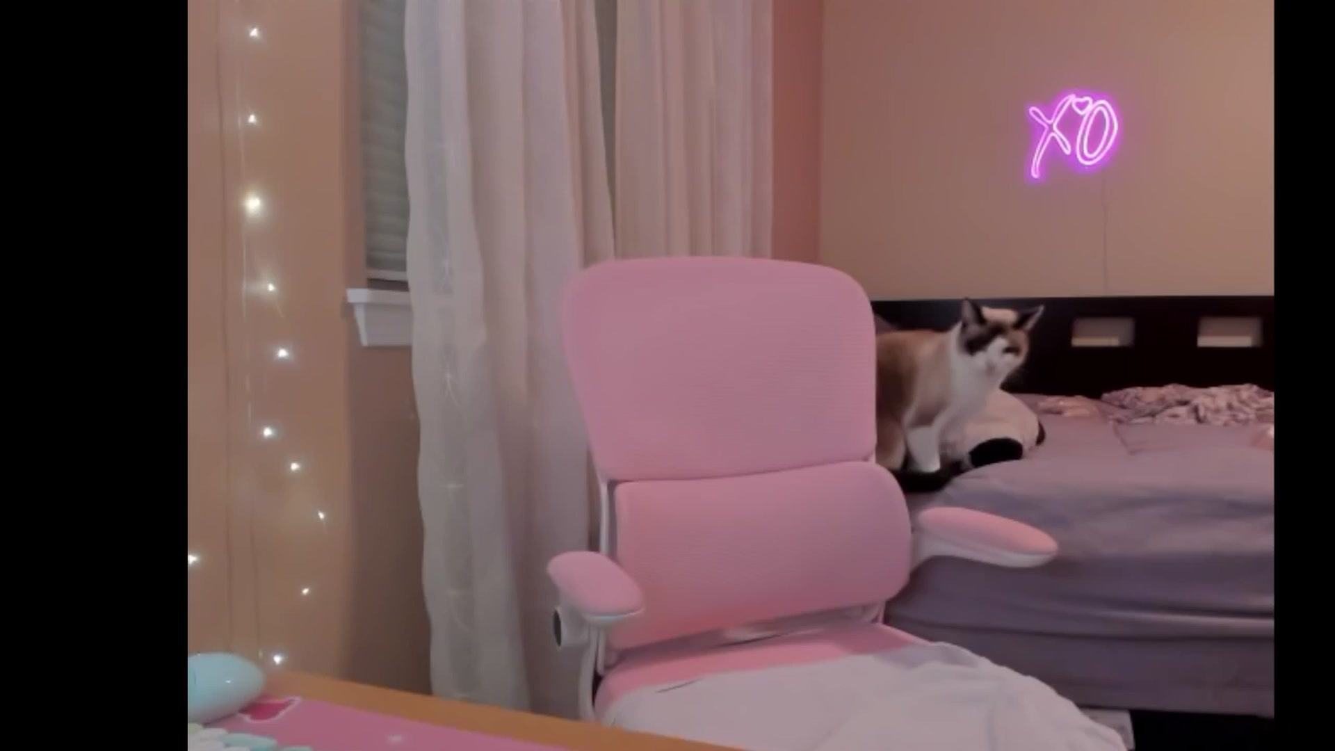 Gallery image thumbnail from NesaValentine's myfreecams stream on, 02/28/2025, 09:34 image 16 of 20