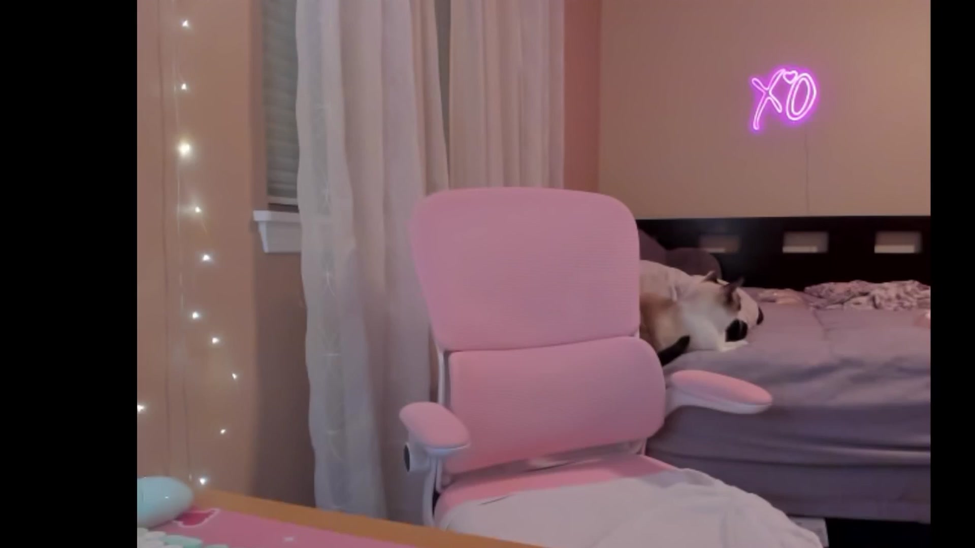 Gallery image thumbnail from NesaValentine's myfreecams stream on, 02/28/2025, 09:34 image 18 of 20