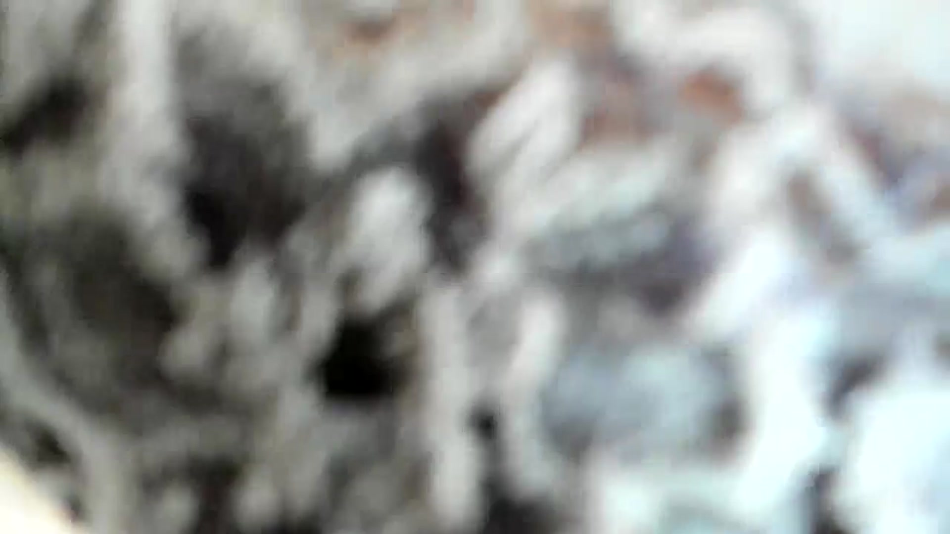 Gallery image thumbnail from Nesquikim's myfreecams stream on, 08/10/2024, 09:43 image 6 of 20