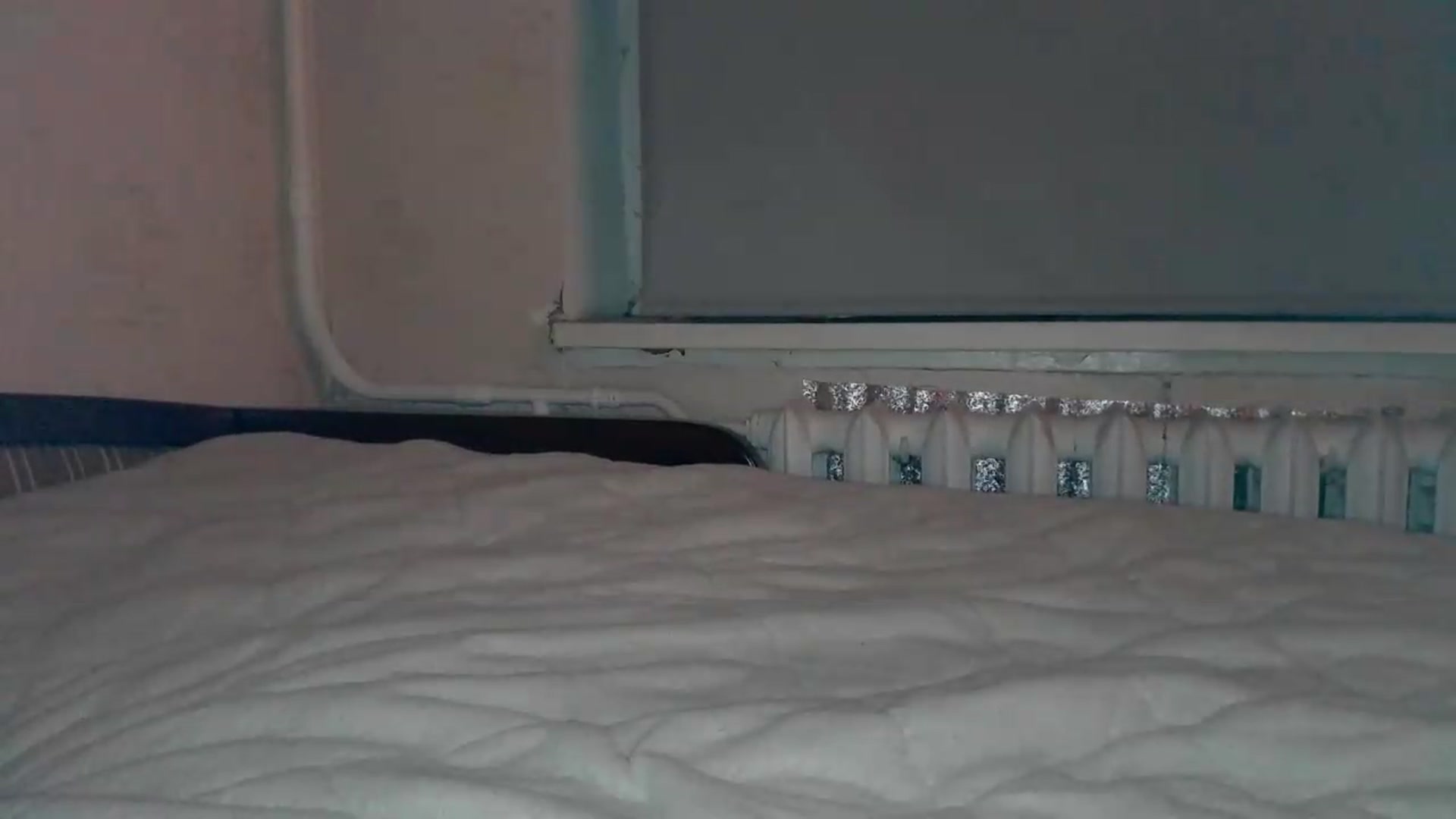 Gallery image thumbnail from NessaLeigh's myfreecams stream on, 05/19/2026, 20:07 image 15 of 20