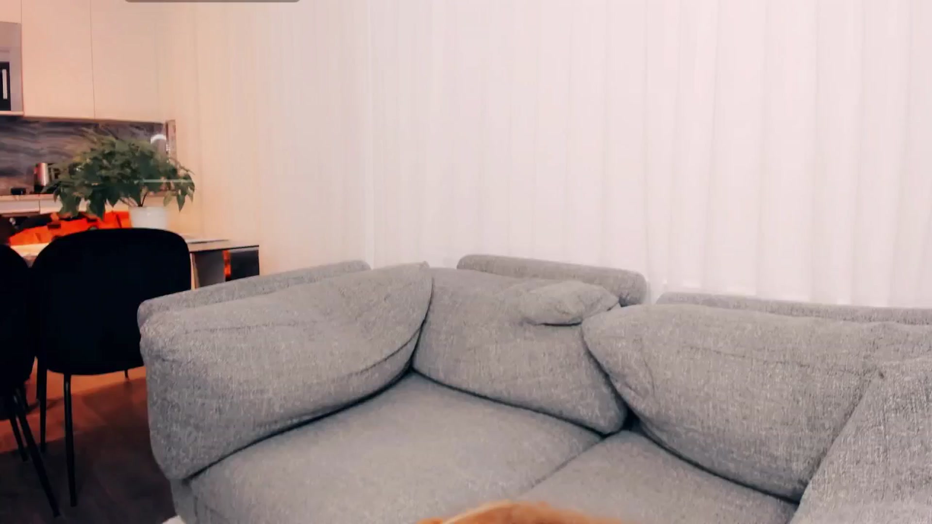 Gallery image thumbnail from NessaMoore's myfreecams stream on, 10/25/2024, 01:44 image 17 of 20