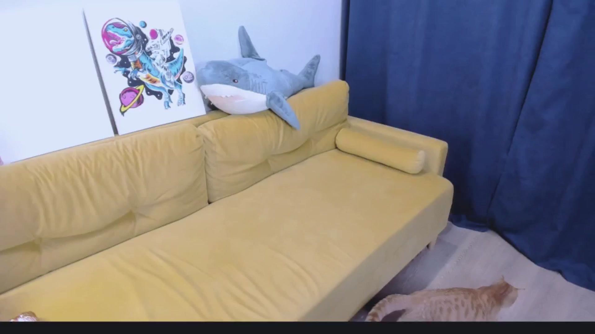 Gallery image thumbnail from NewTeen1999's myfreecams stream on, 05/02/2024, 19:22 image 3 of 20