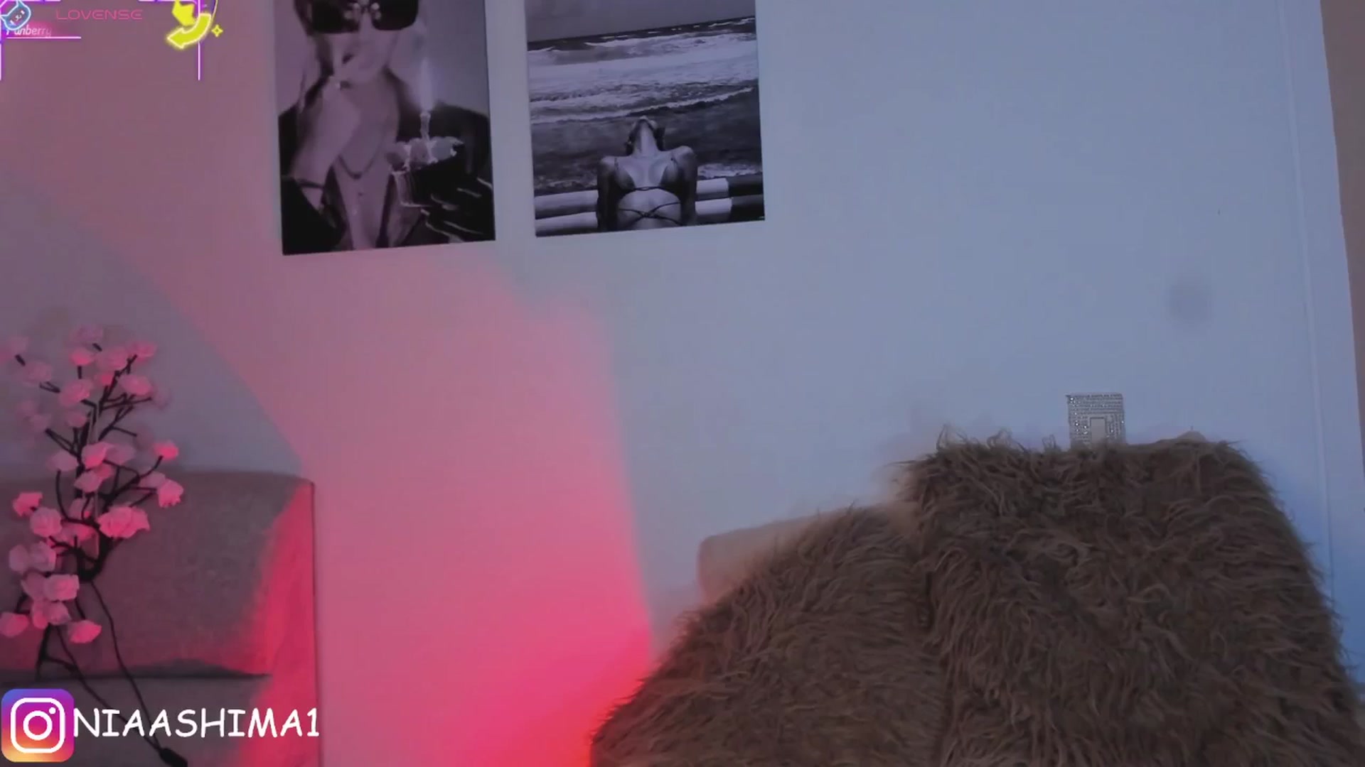 Gallery image thumbnail from NiaVelvet's myfreecams stream on, 06/17/2025, 14:58 image 3 of 20