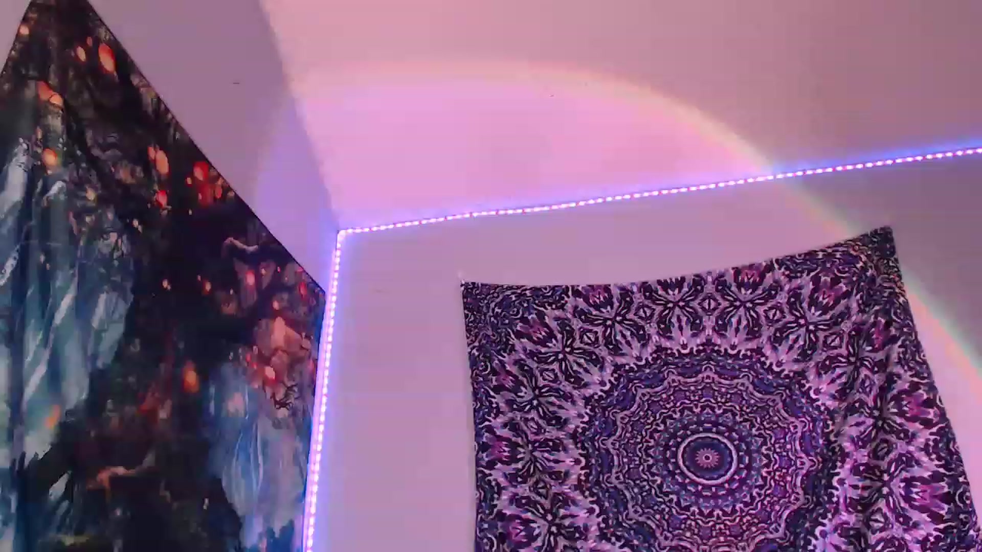 Gallery image thumbnail from Nia_Longlegs's myfreecams stream on, 12/06/2022, 22:40 image 1 of 20