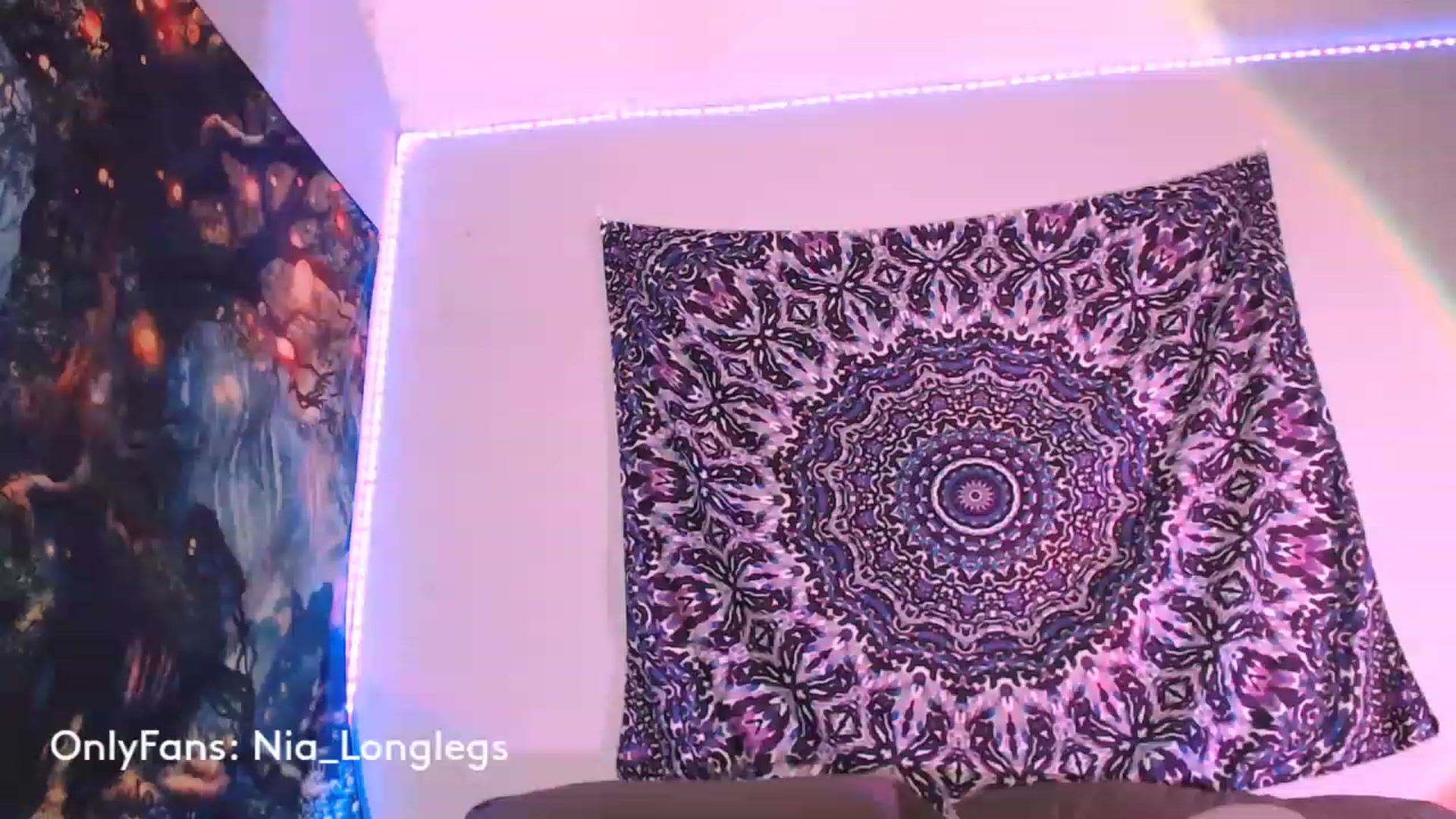 Gallery image thumbnail from Nia_Longlegs's myfreecams stream on, 12/23/2022, 05:34 image 4 of 20