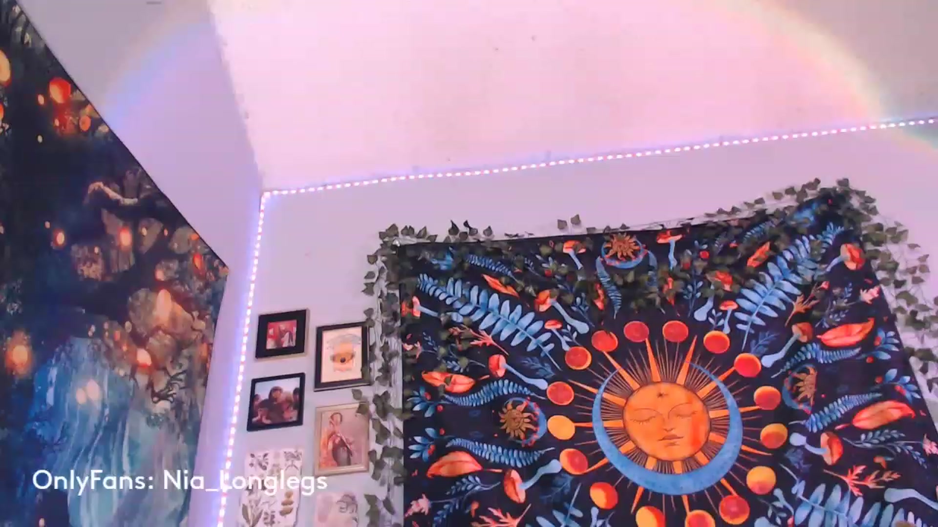 Gallery image thumbnail from Nia_Longlegs's myfreecams stream on, 03/17/2023, 02:32 image 5 of 20