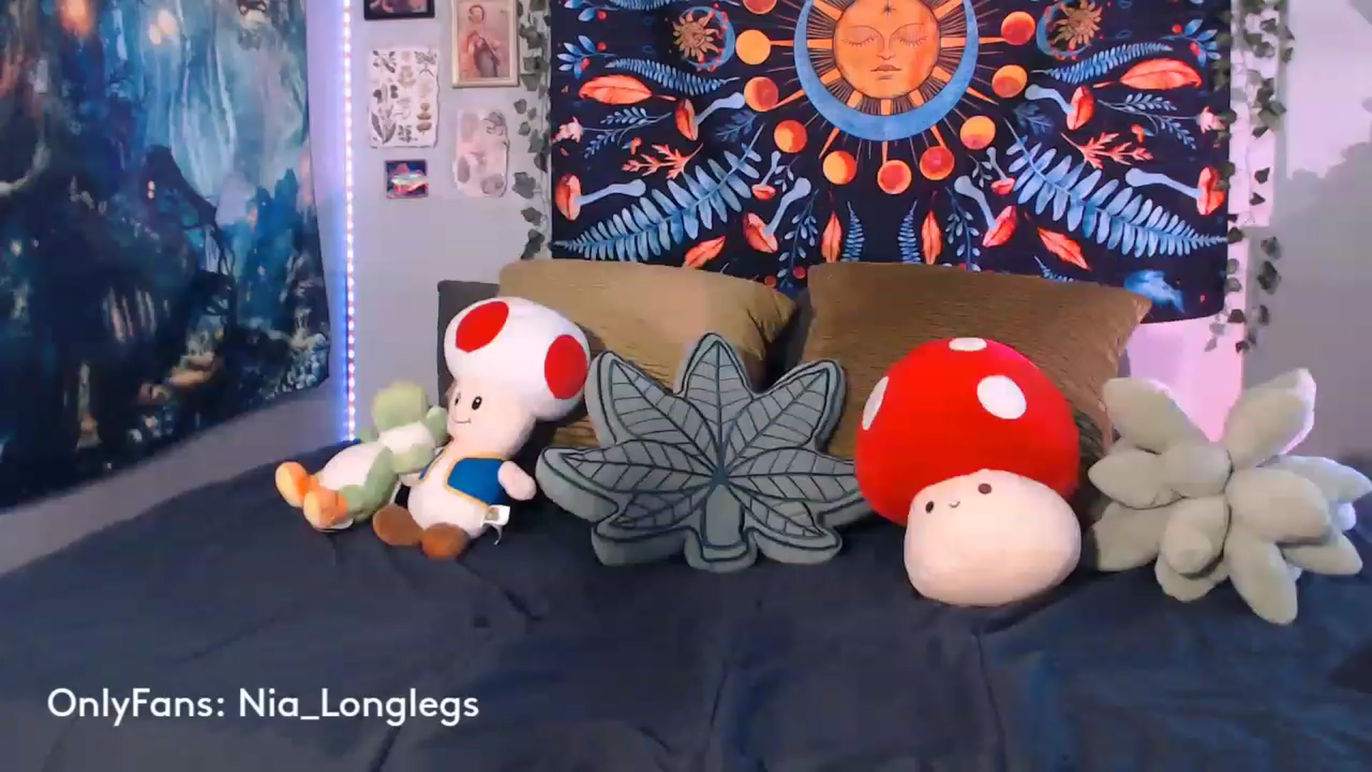 Gallery image thumbnail from Nia_Longlegs's myfreecams stream on, 04/15/2023, 20:10 image 15 of 20