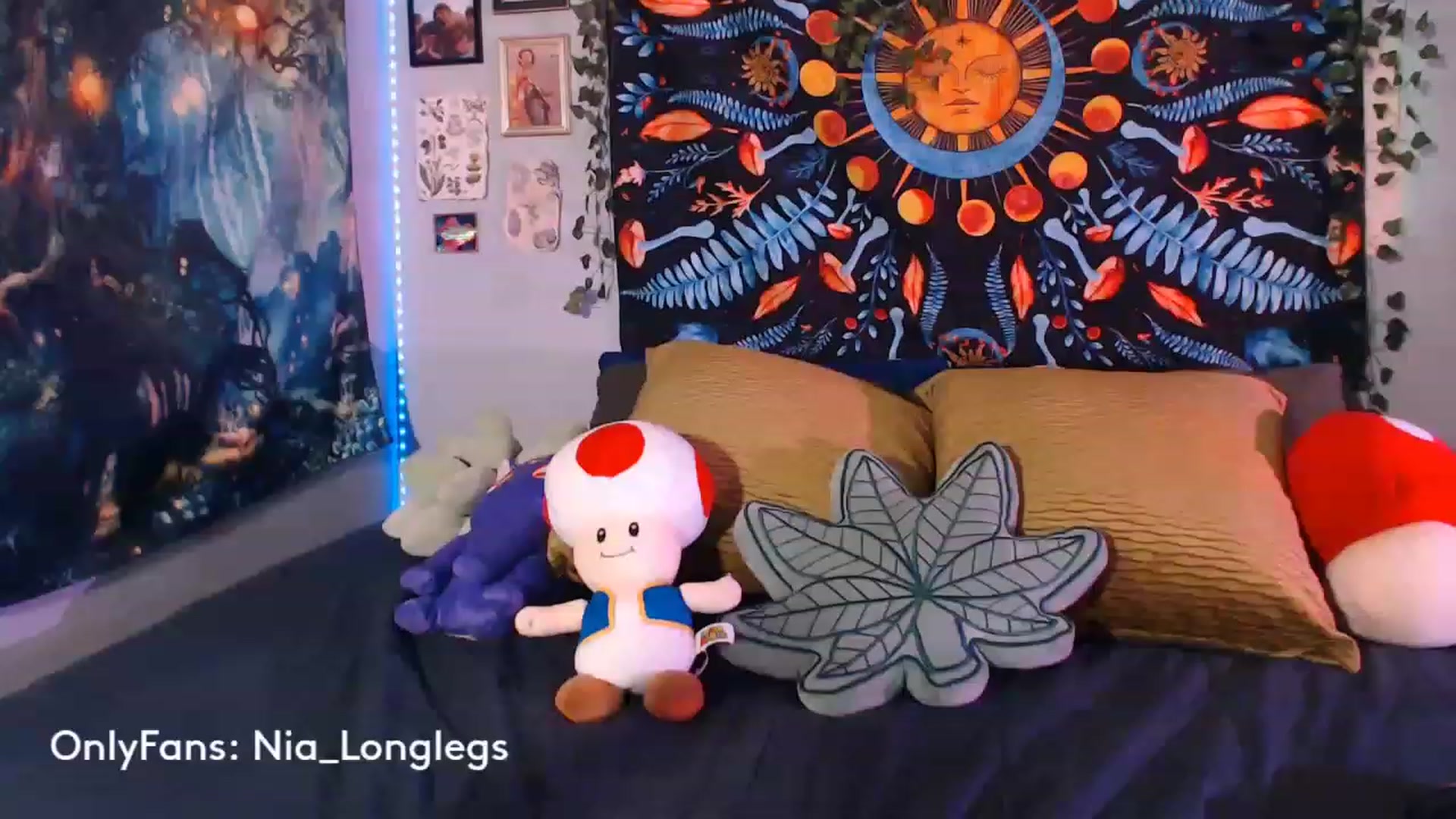 Gallery image thumbnail from Nia_Longlegs's myfreecams stream on, 04/28/2023, 05:30 image 4 of 20
