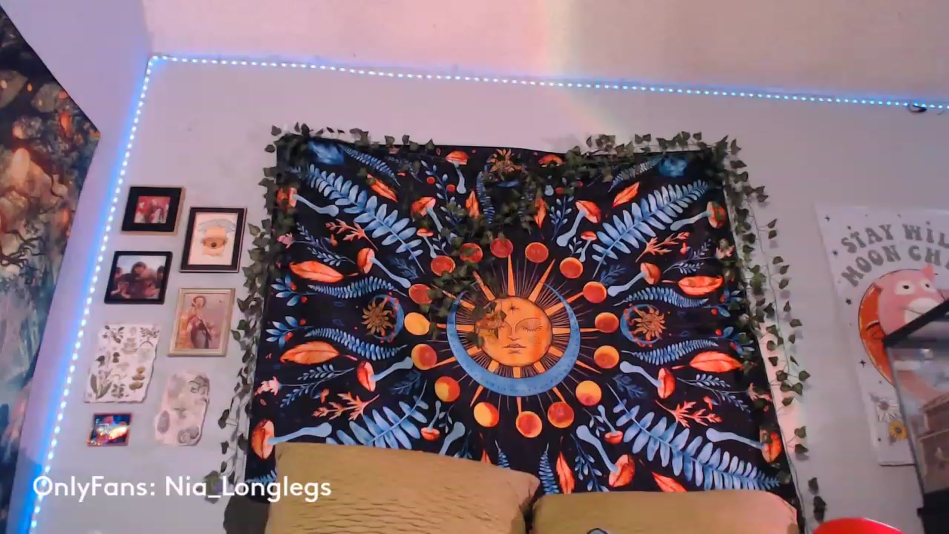 Gallery image thumbnail from Nia_Longlegs's myfreecams stream on, 04/28/2023, 05:30 image 12 of 20