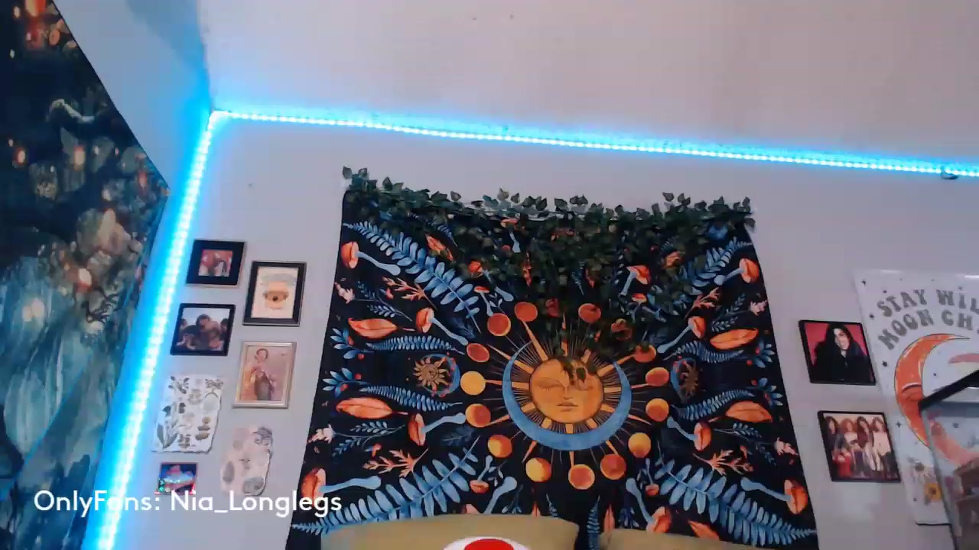 Gallery image thumbnail from Nia_Longlegs's myfreecams stream on, 05/19/2023, 03:20 image 17 of 20