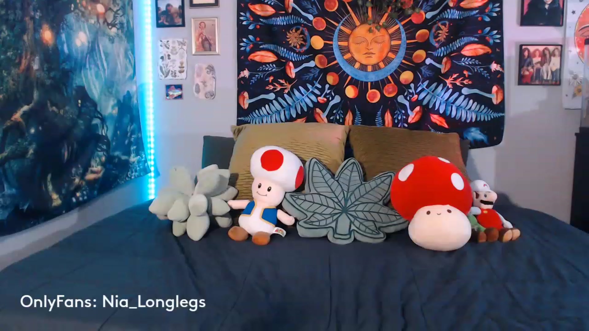 Gallery image thumbnail from Nia_Longlegs's myfreecams stream on, 05/31/2023, 01:50 image 14 of 20