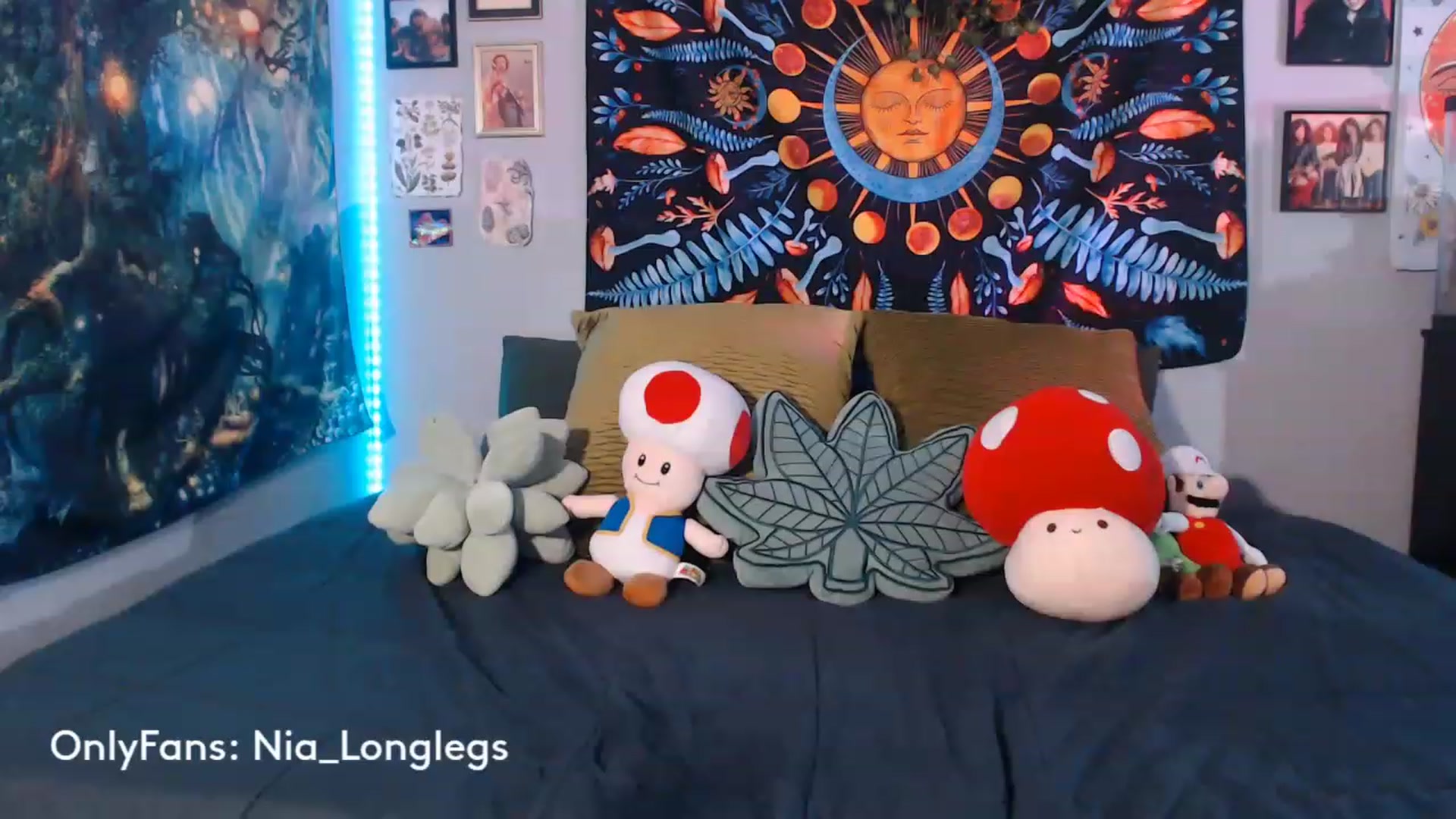 Gallery image thumbnail from Nia_Longlegs's myfreecams stream on, 05/31/2023, 01:50 image 12 of 20