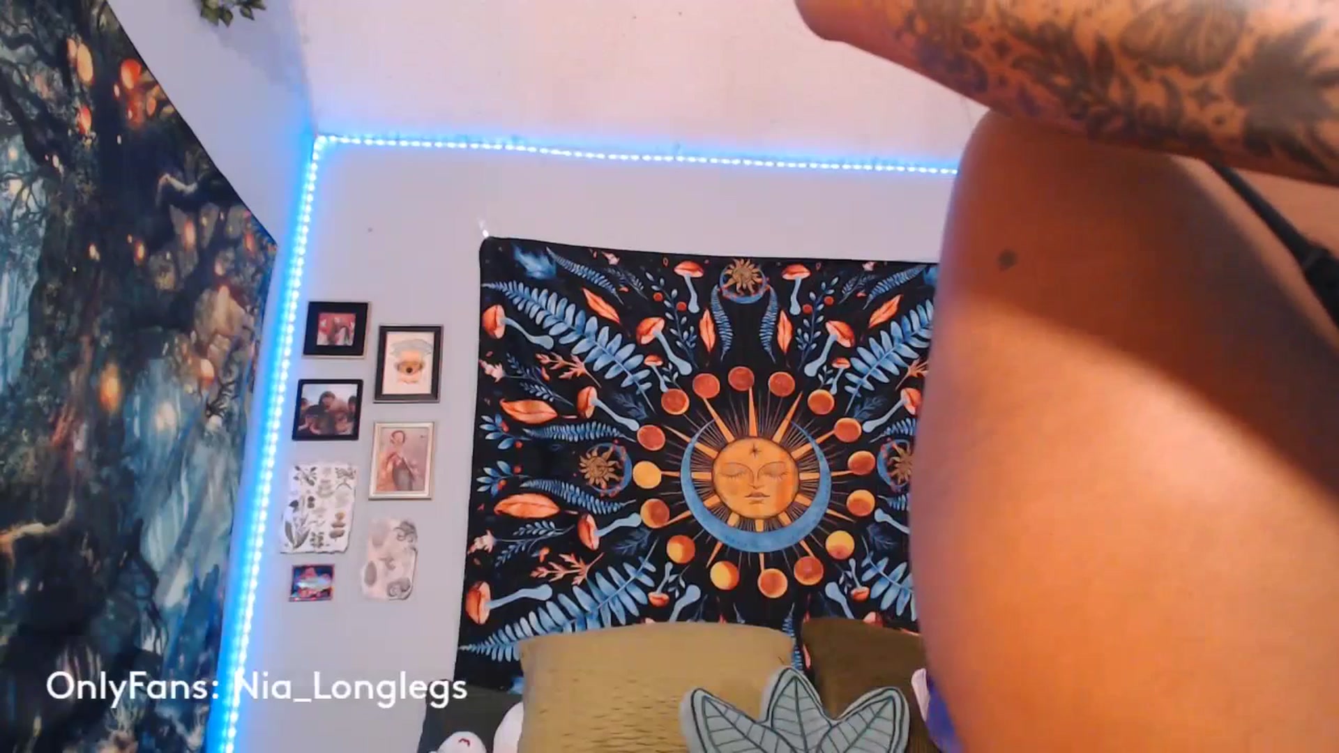 Gallery image thumbnail from Nia_Longlegs's myfreecams stream on, 06/28/2023, 05:33 image 18 of 20