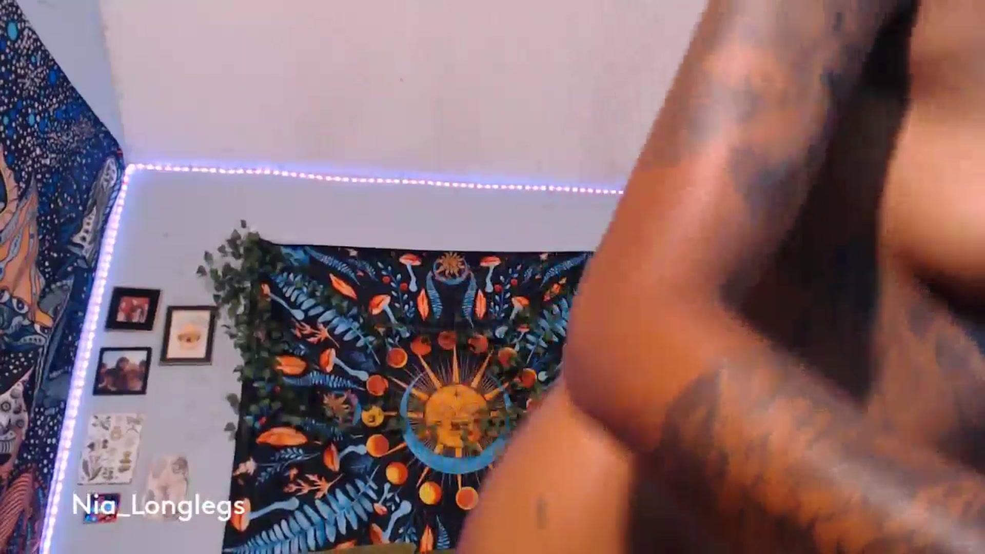 Gallery image thumbnail from Nia_Longlegs's myfreecams stream on, 07/03/2024, 19:46 image 19 of 20