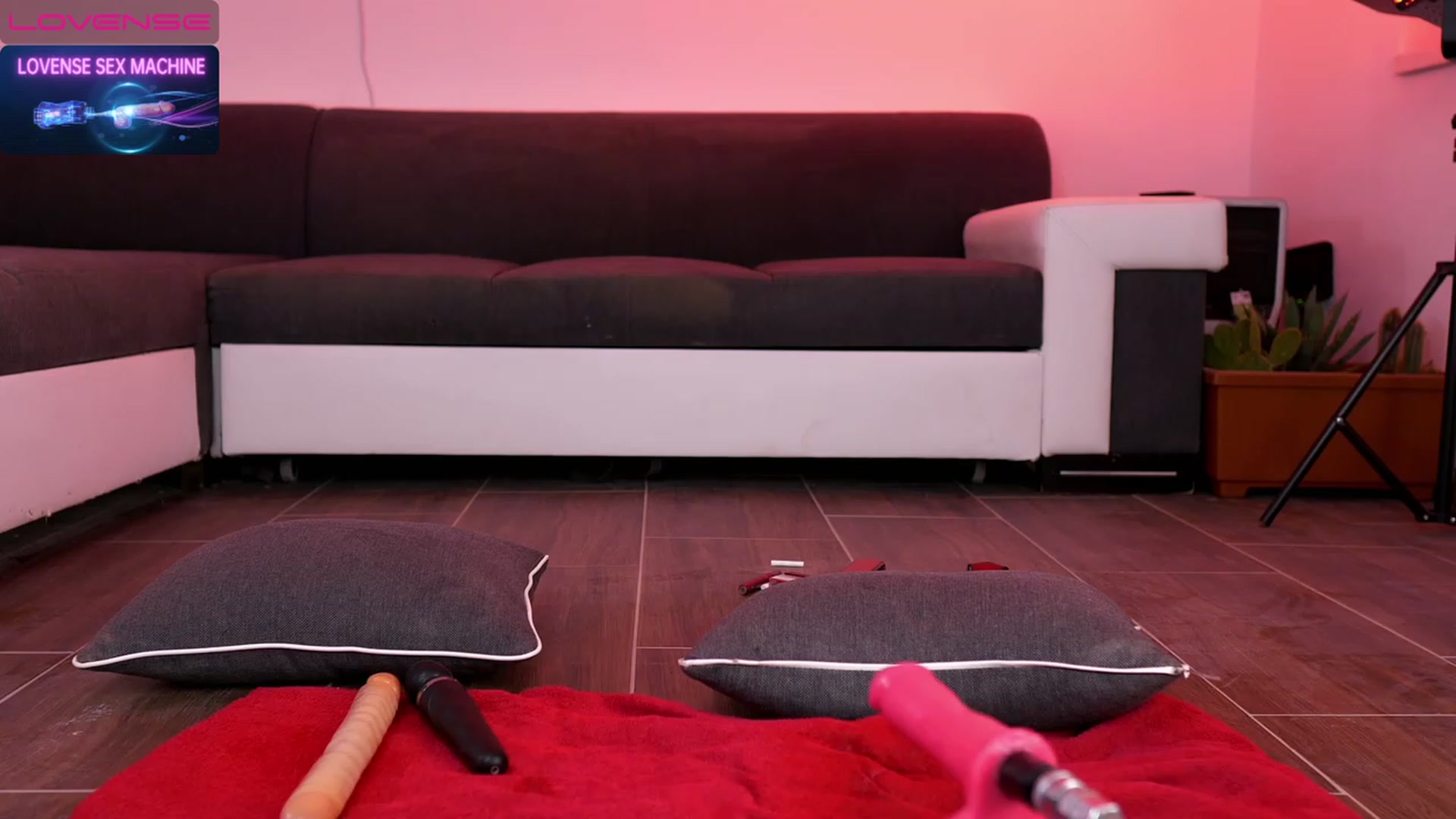 Gallery image thumbnail from NiceHotJob's myfreecams stream on, 02/12/2023, 20:31 image 3 of 20