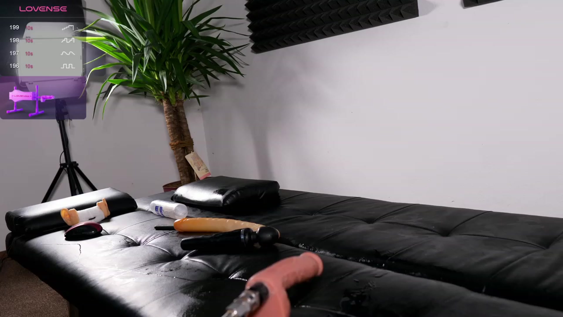 Gallery image thumbnail from NiceHotJob's myfreecams stream on, 09/26/2023, 17:02 image 14 of 20