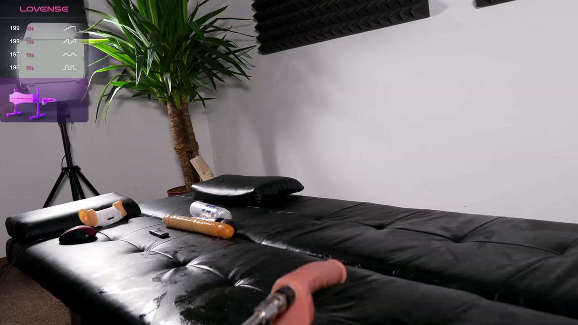 Gallery image thumbnail from NiceHotJob's myfreecams stream on, 09/27/2023, 22:35 image 3 of 20