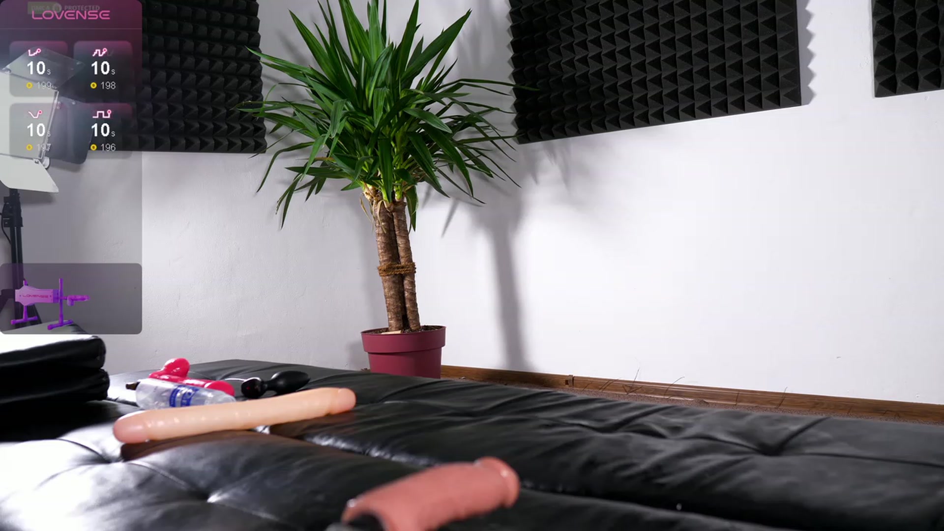 Gallery image thumbnail from NiceHotJob's myfreecams stream on, 02/02/2024, 14:17 image 9 of 20