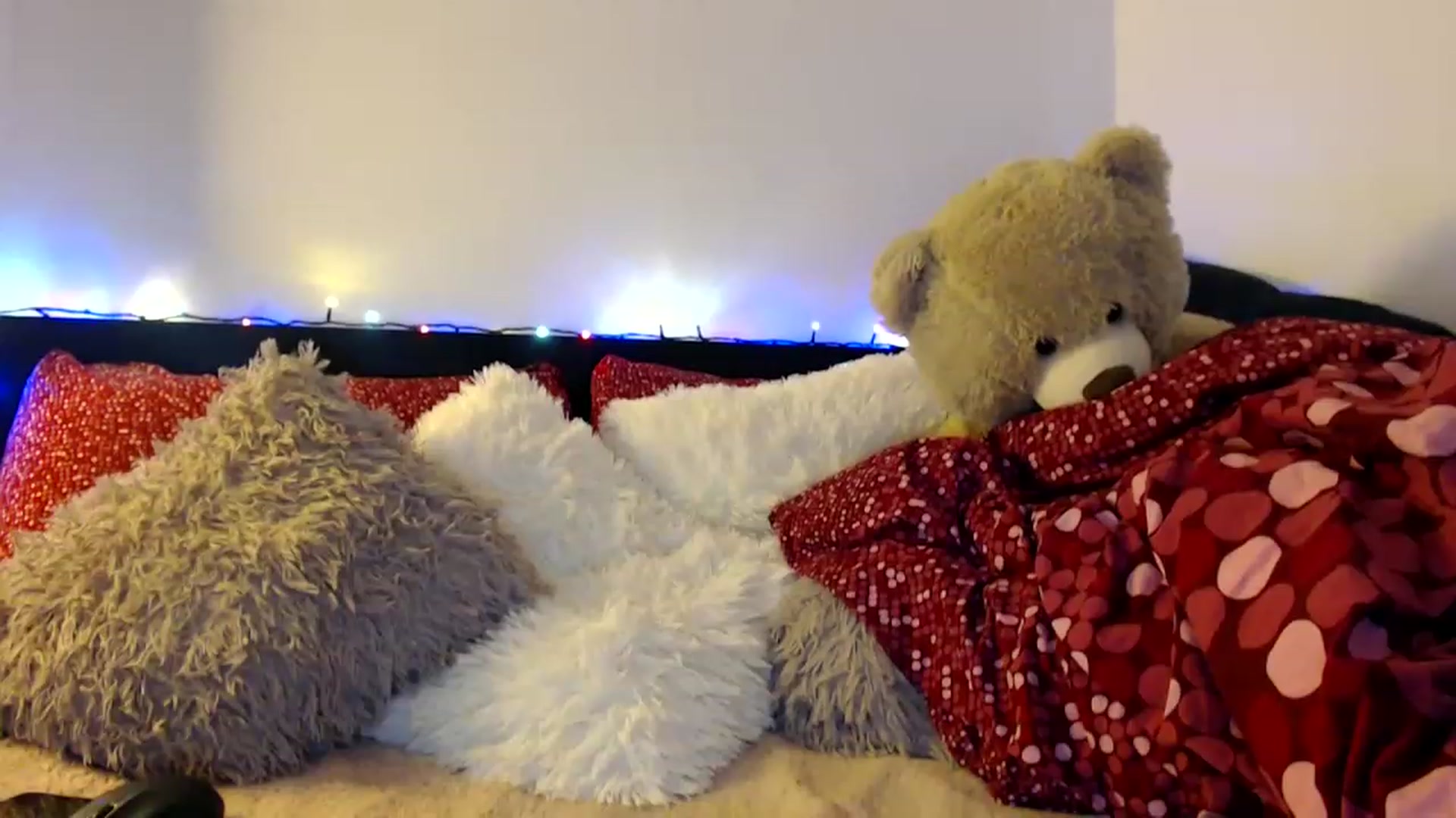 Gallery image thumbnail from Nicebitch23's myfreecams stream on, 12/20/2022, 11:50 image 17 of 20