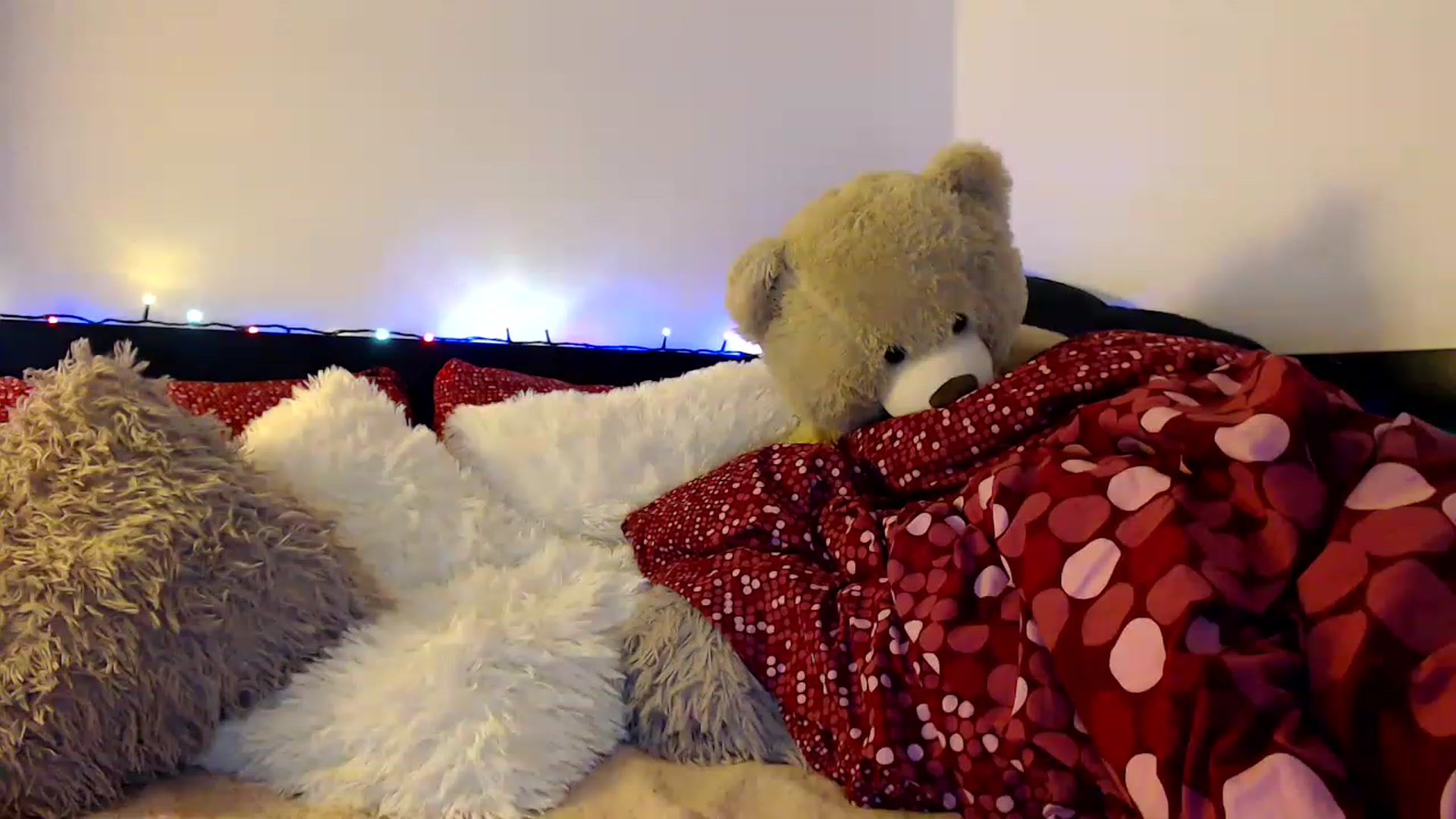 Gallery image thumbnail from Nicebitch23's myfreecams stream on, 12/20/2022, 11:50 image 18 of 20