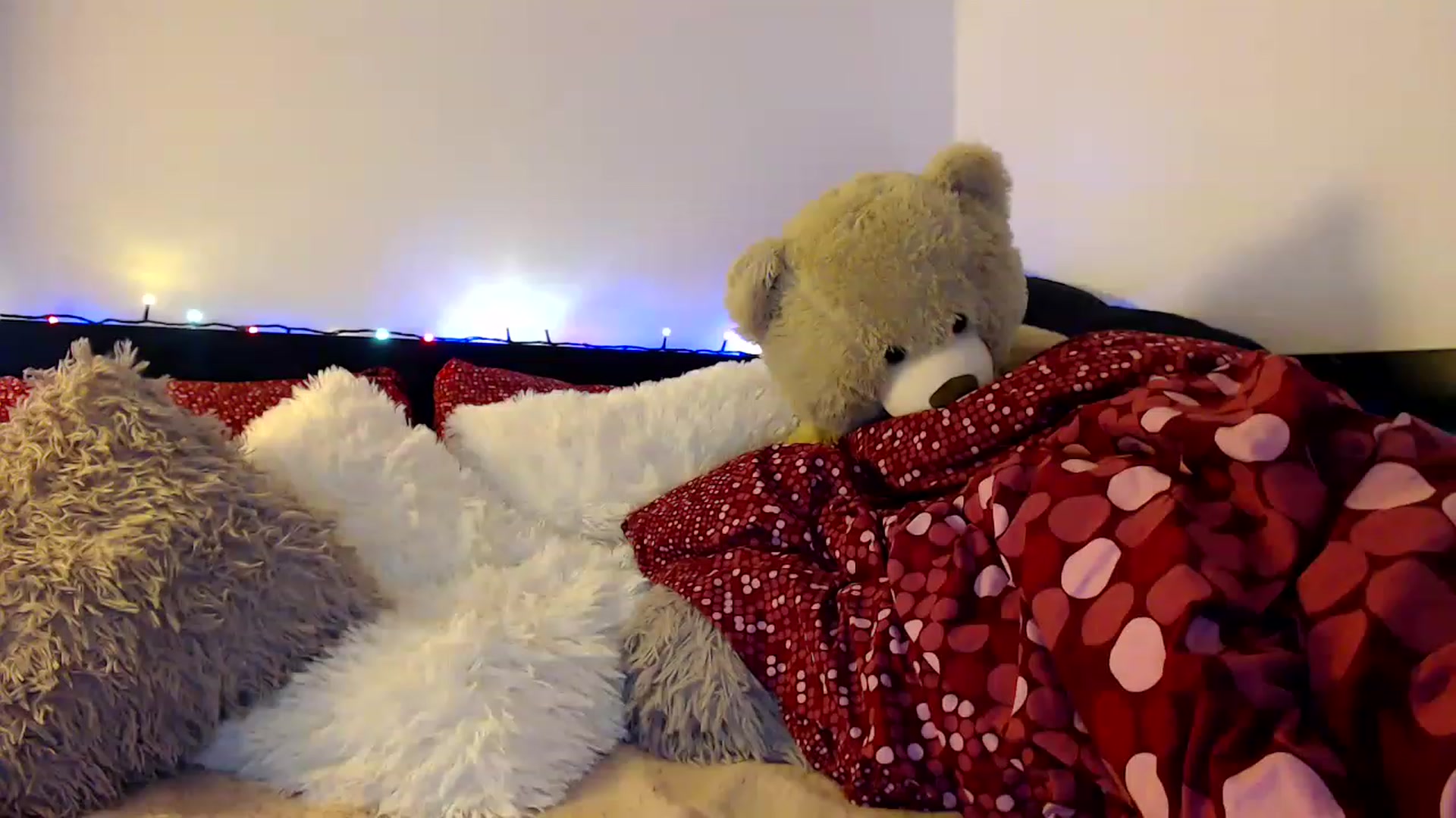 Gallery image thumbnail from Nicebitch23's myfreecams stream on, 12/20/2022, 11:50 image 19 of 20