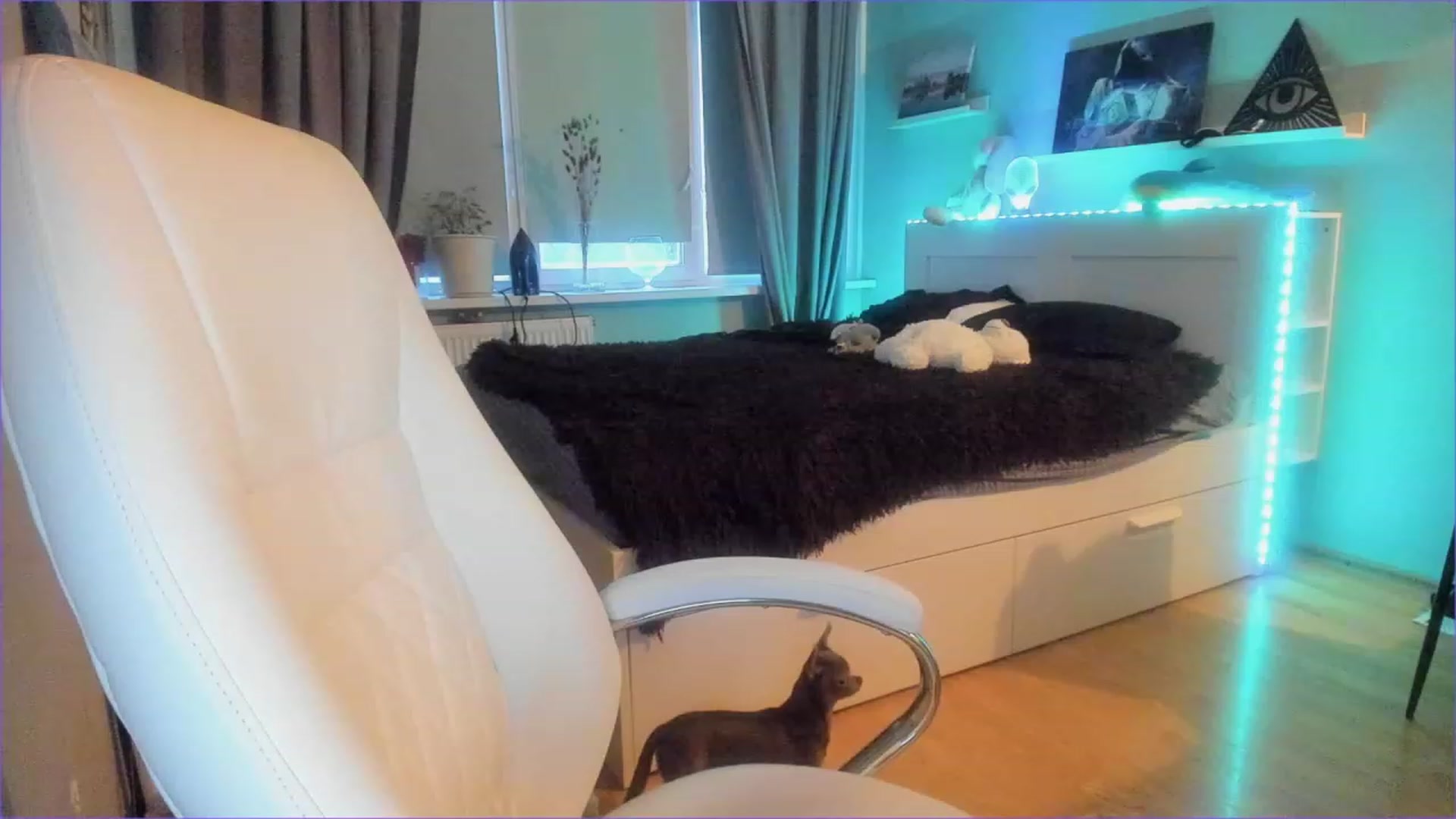 Gallery image thumbnail from NickyBlein's myfreecams stream on, 12/15/2022, 13:07 image 6 of 20