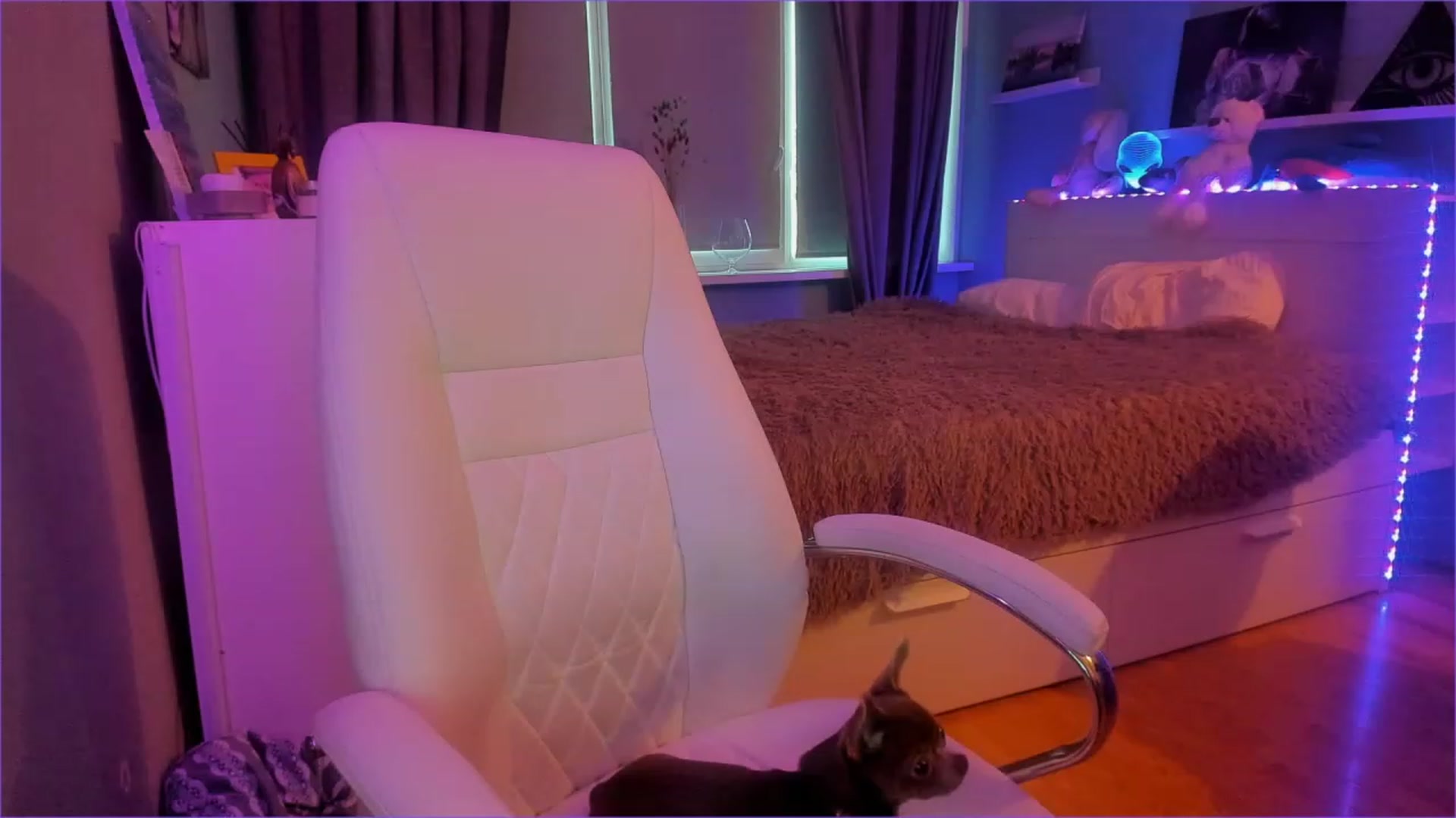 Gallery image thumbnail from NickyBlein's myfreecams stream on, 12/29/2022, 08:49 image 20 of 20