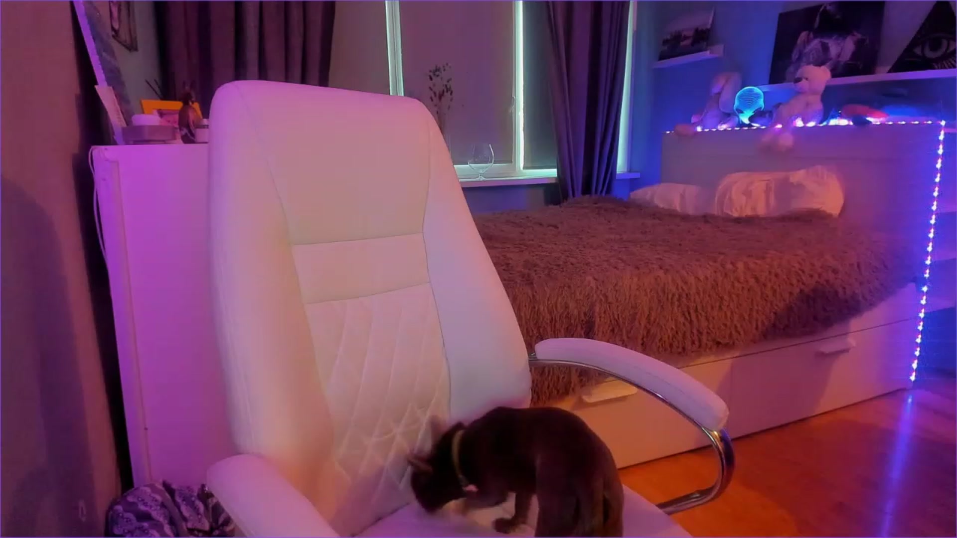 Gallery image thumbnail from NickyBlein's myfreecams stream on, 12/29/2022, 08:49 image 19 of 20