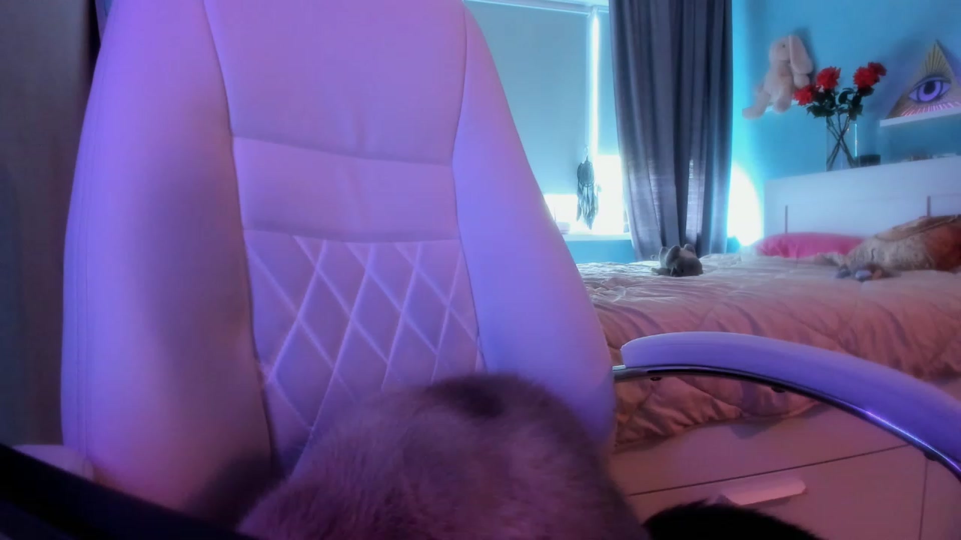 Gallery image thumbnail from NickyBlein's myfreecams stream on, 10/03/2023, 08:57 image 9 of 20