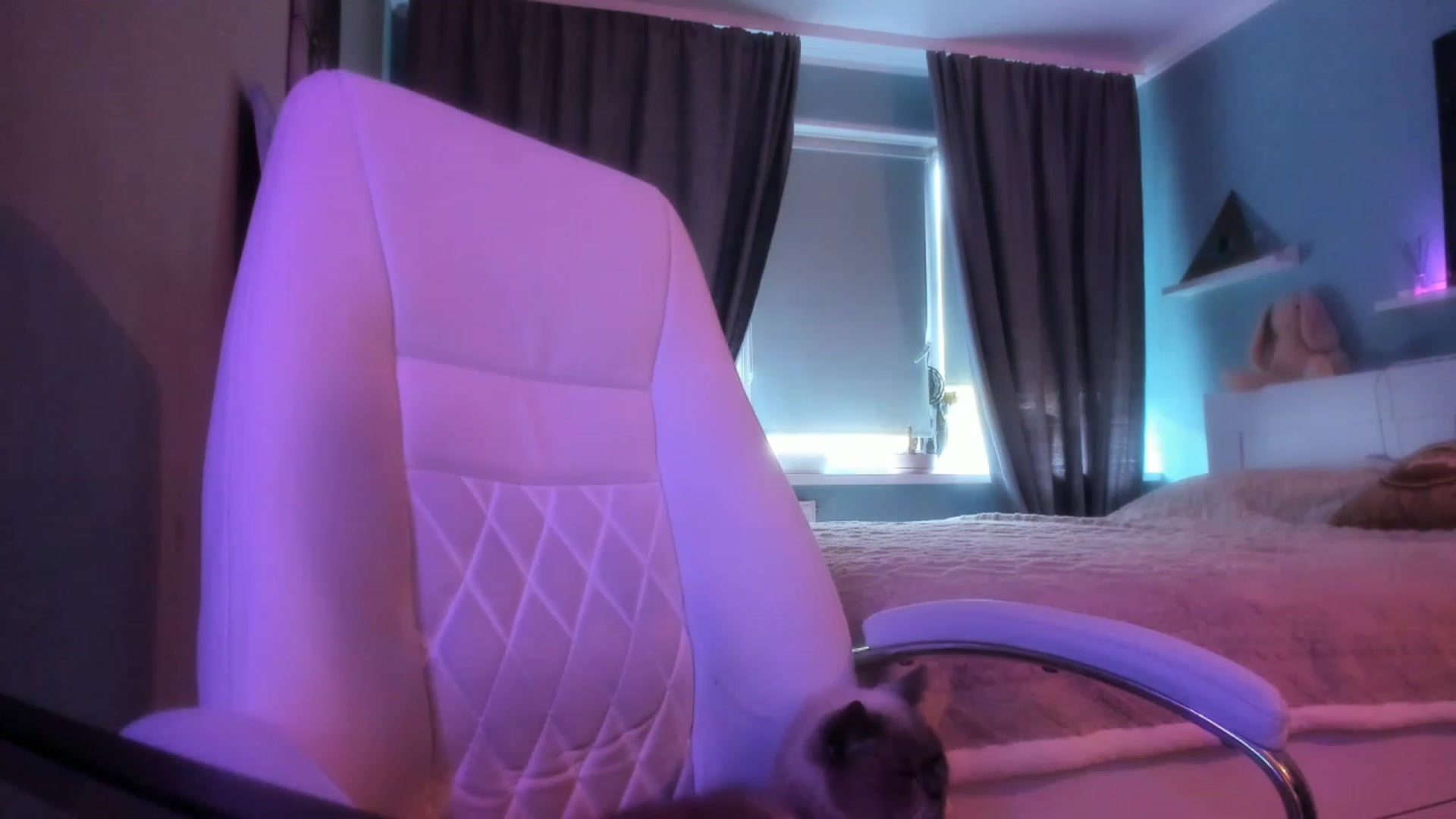 Gallery image thumbnail from NickyBlein's myfreecams stream on, 10/24/2023, 08:51 image 10 of 20