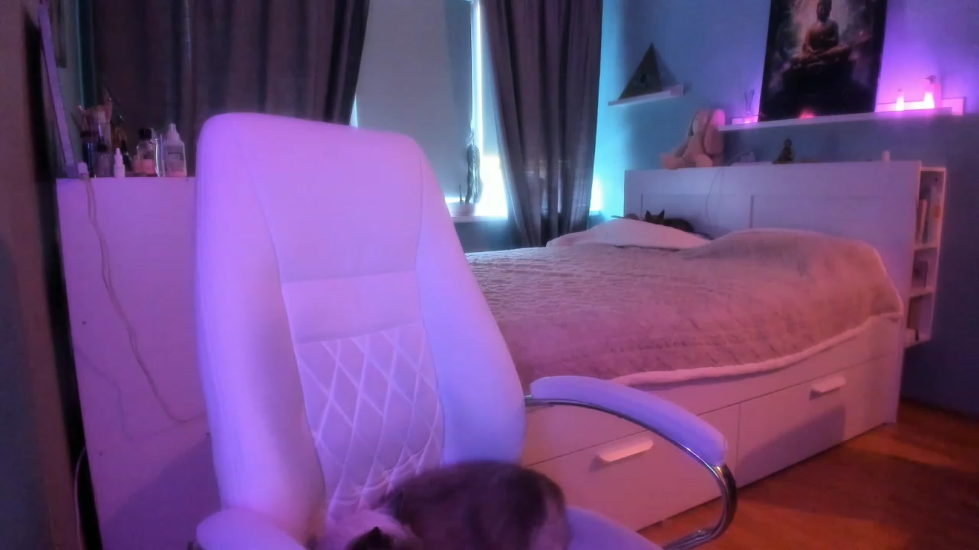 Gallery image thumbnail from NickyBlein's myfreecams stream on, 10/25/2023, 08:26 image 11 of 20