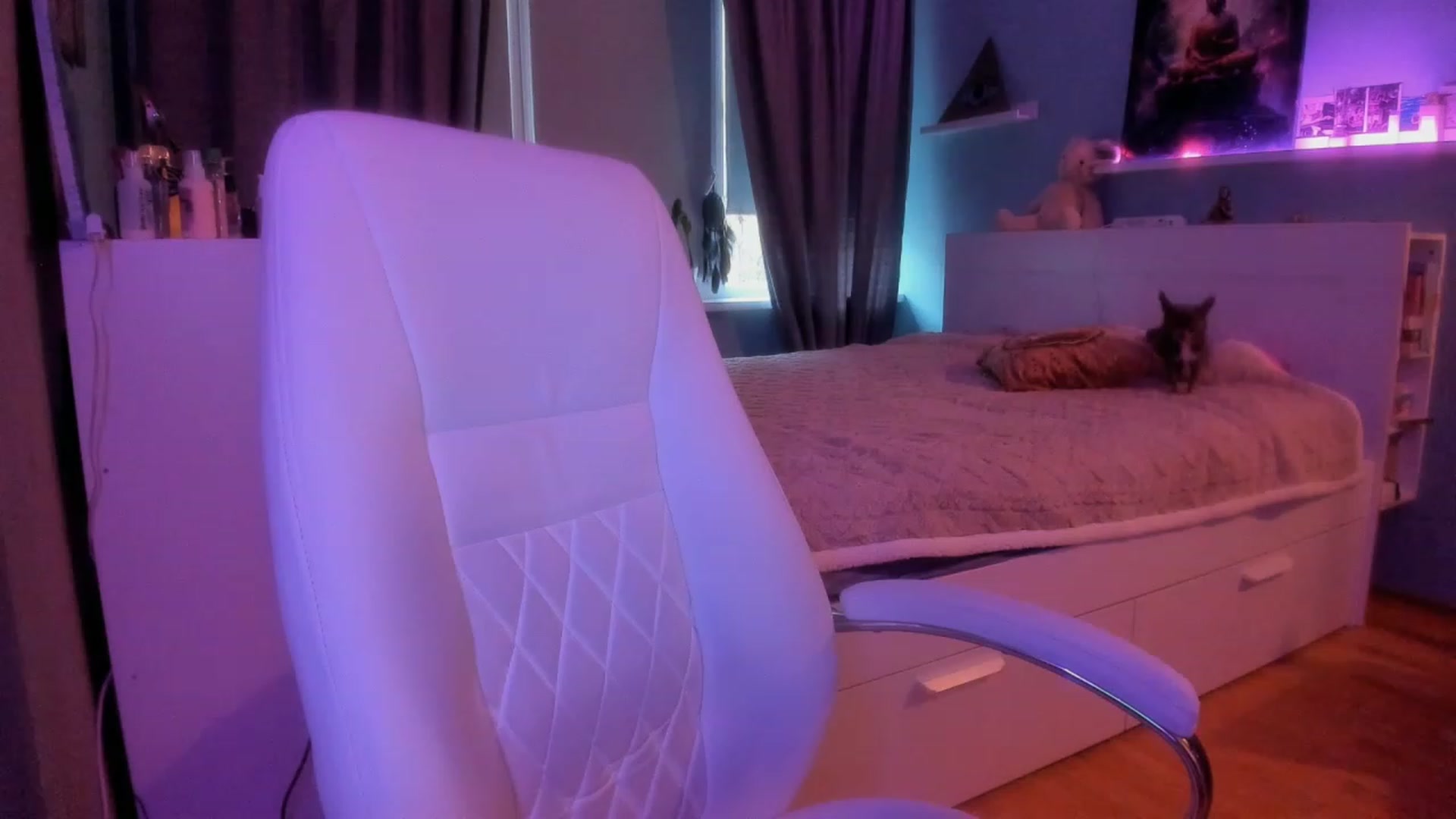 Gallery image thumbnail from NickyBlein's myfreecams stream on, 11/10/2023, 09:25 image 17 of 20