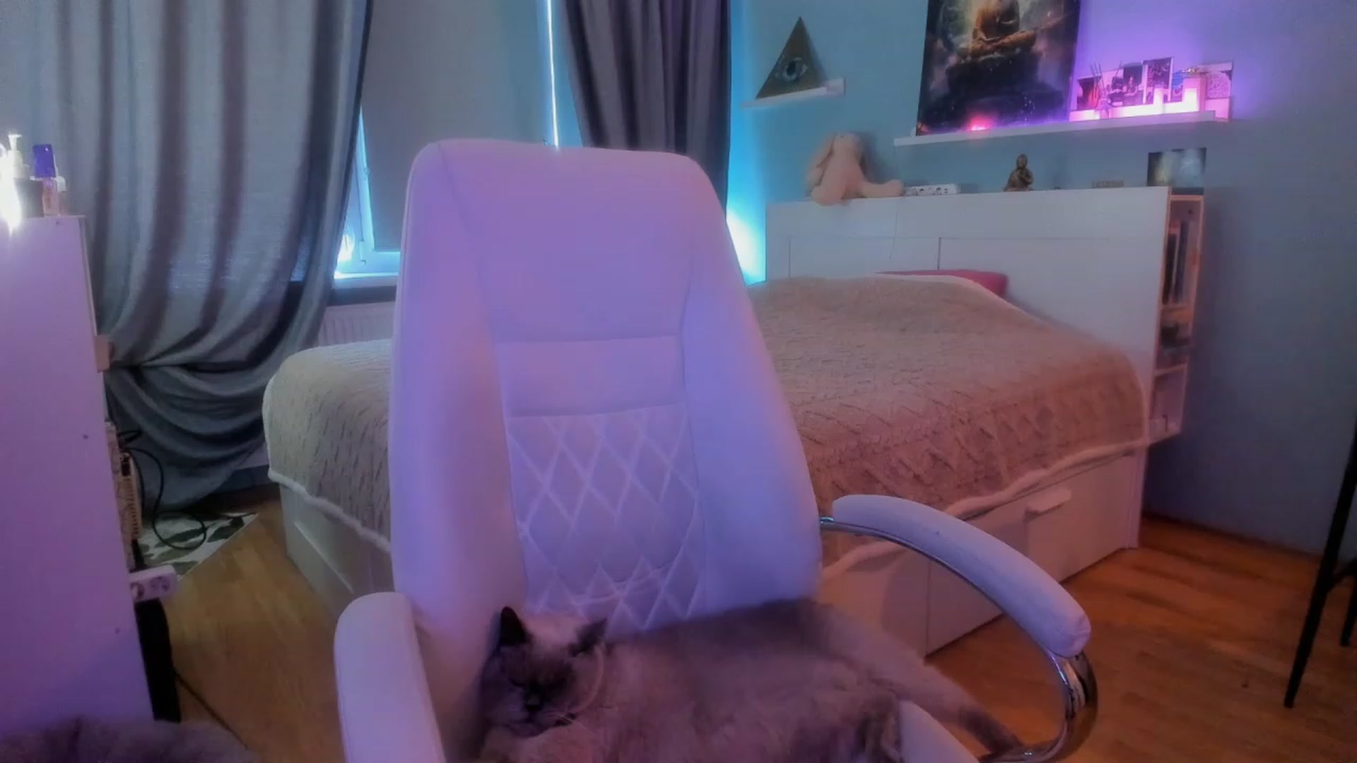 Gallery image thumbnail from NickyBlein's myfreecams stream on, 11/17/2023, 09:04 image 8 of 20