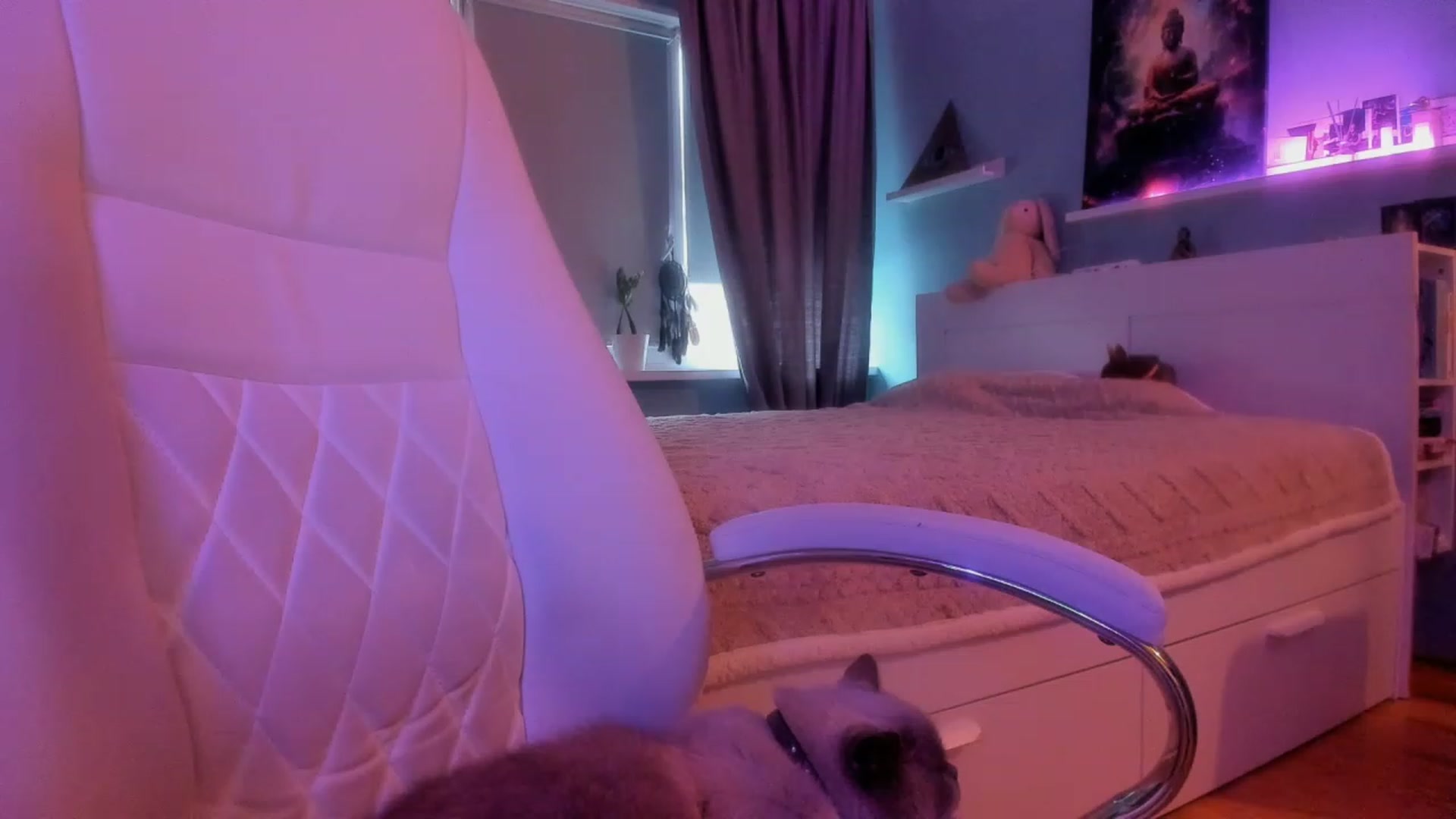 Gallery image thumbnail from NickyBlein's myfreecams stream on, 11/23/2023, 07:59 image 8 of 20
