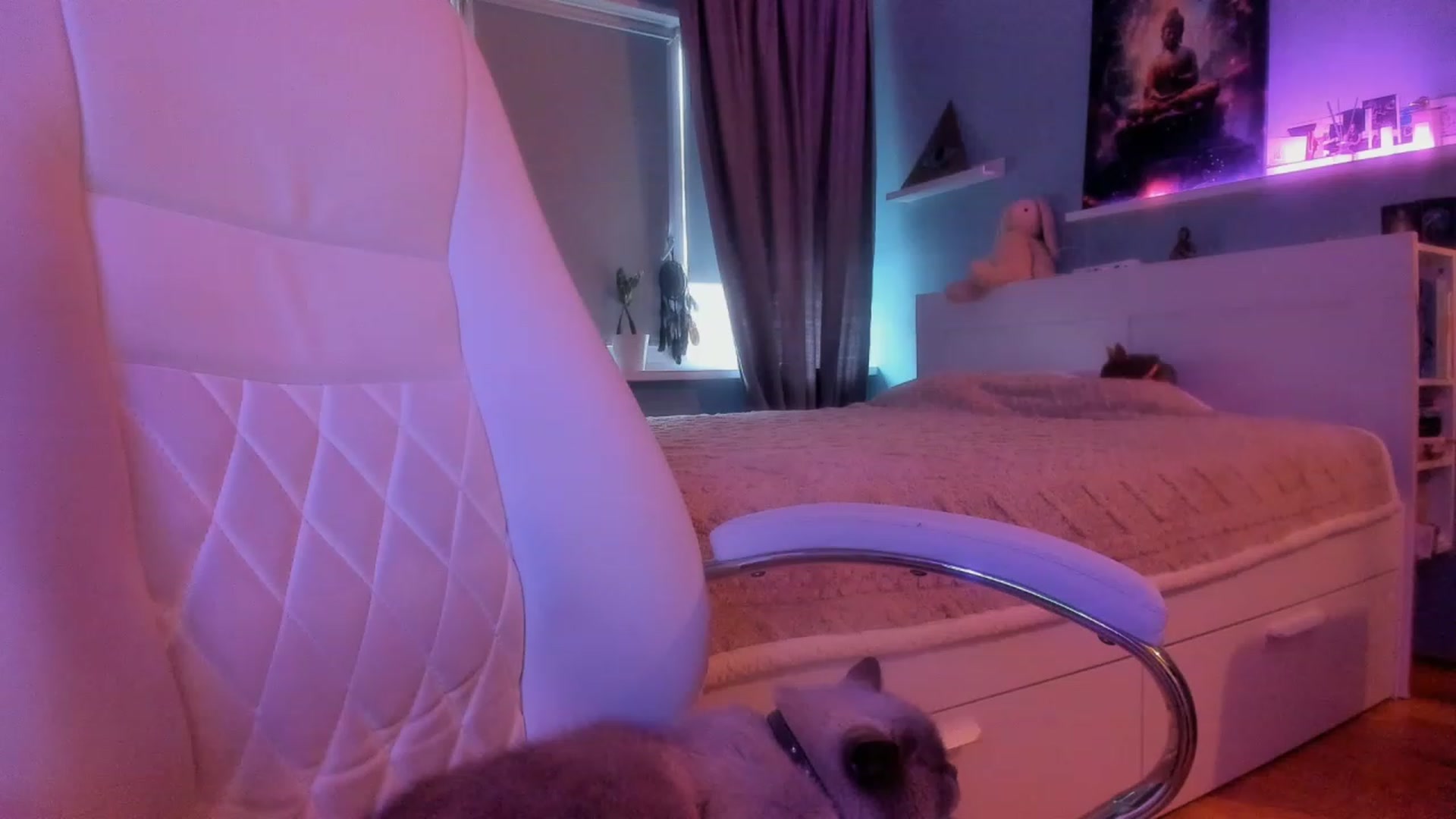 Gallery image thumbnail from NickyBlein's myfreecams stream on, 11/23/2023, 07:59 image 7 of 20