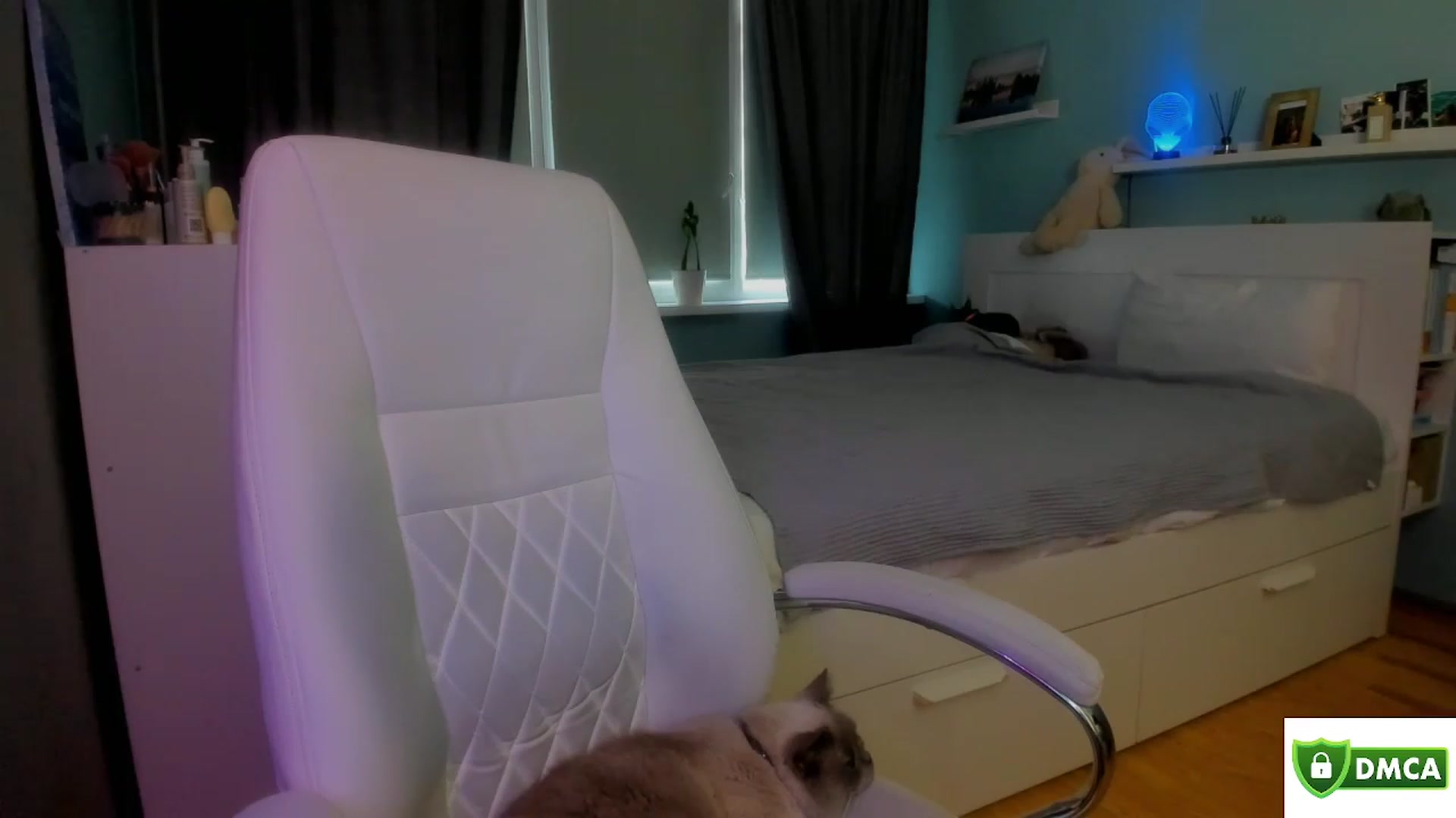 Gallery image thumbnail from NickyBlein's myfreecams stream on, 03/23/2024, 10:02 image 2 of 20